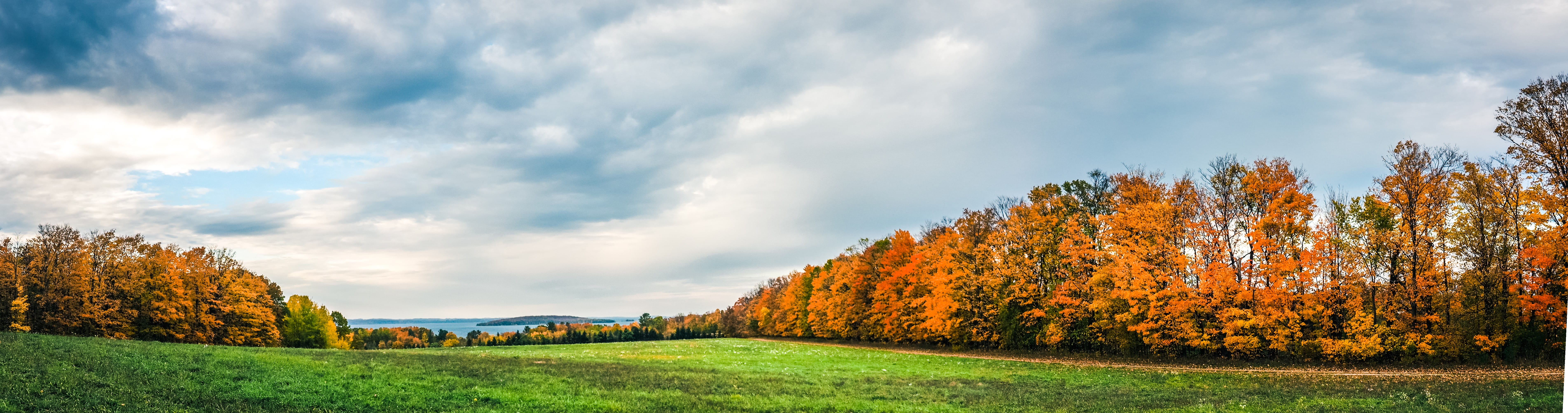 tranquil scene, green color, change, panoramic, michigan, trees, cloud - sky, environment, old mission, tree, beauty in nature, united states, landscape, HD Wallpaper