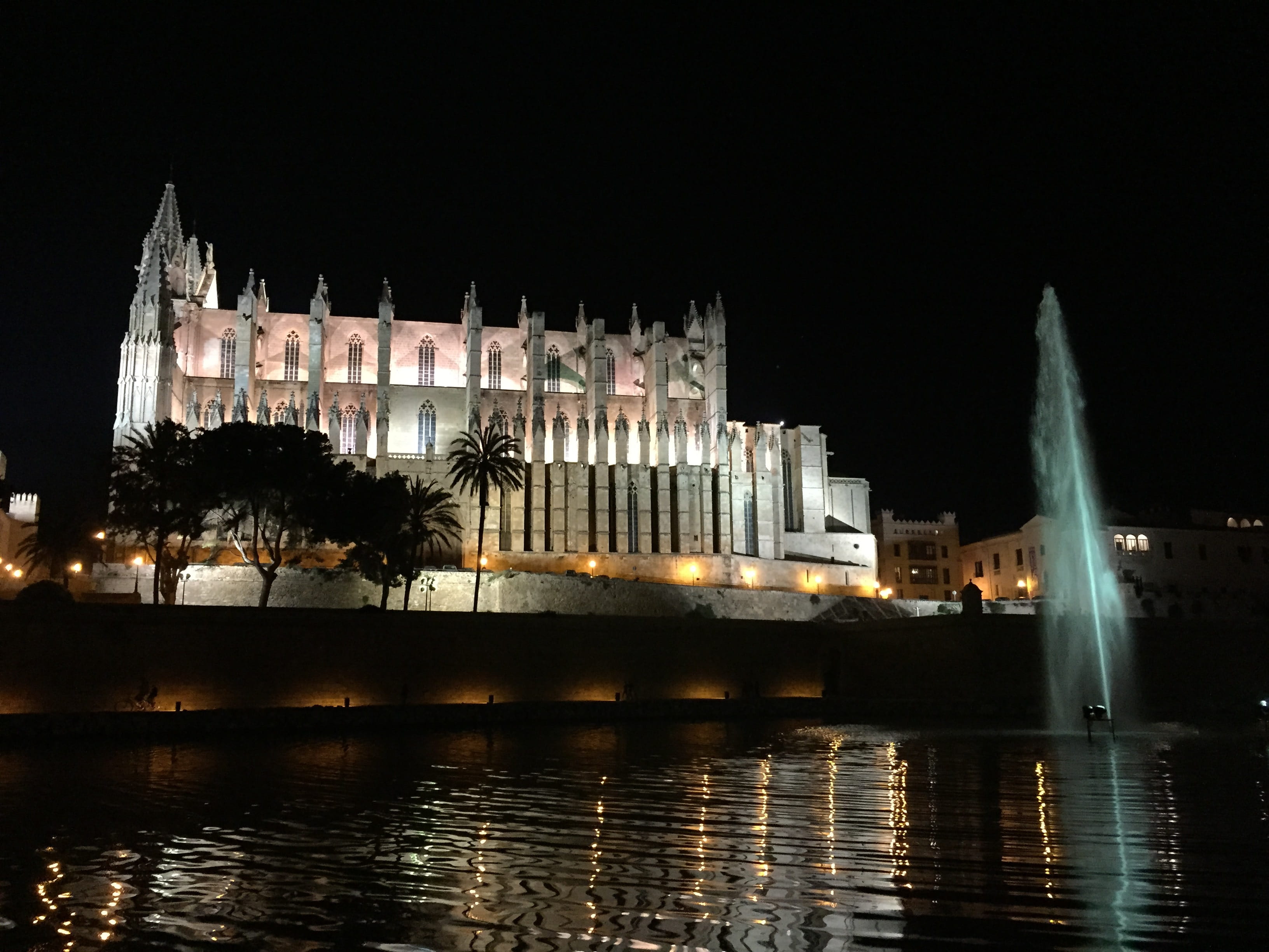 Night, illuminated, government, outdoors, landmark, europe, vacation, Cathedral, tourism, architecture, nature, sights, building, sky, the past, building exterior, HD Wallpaper