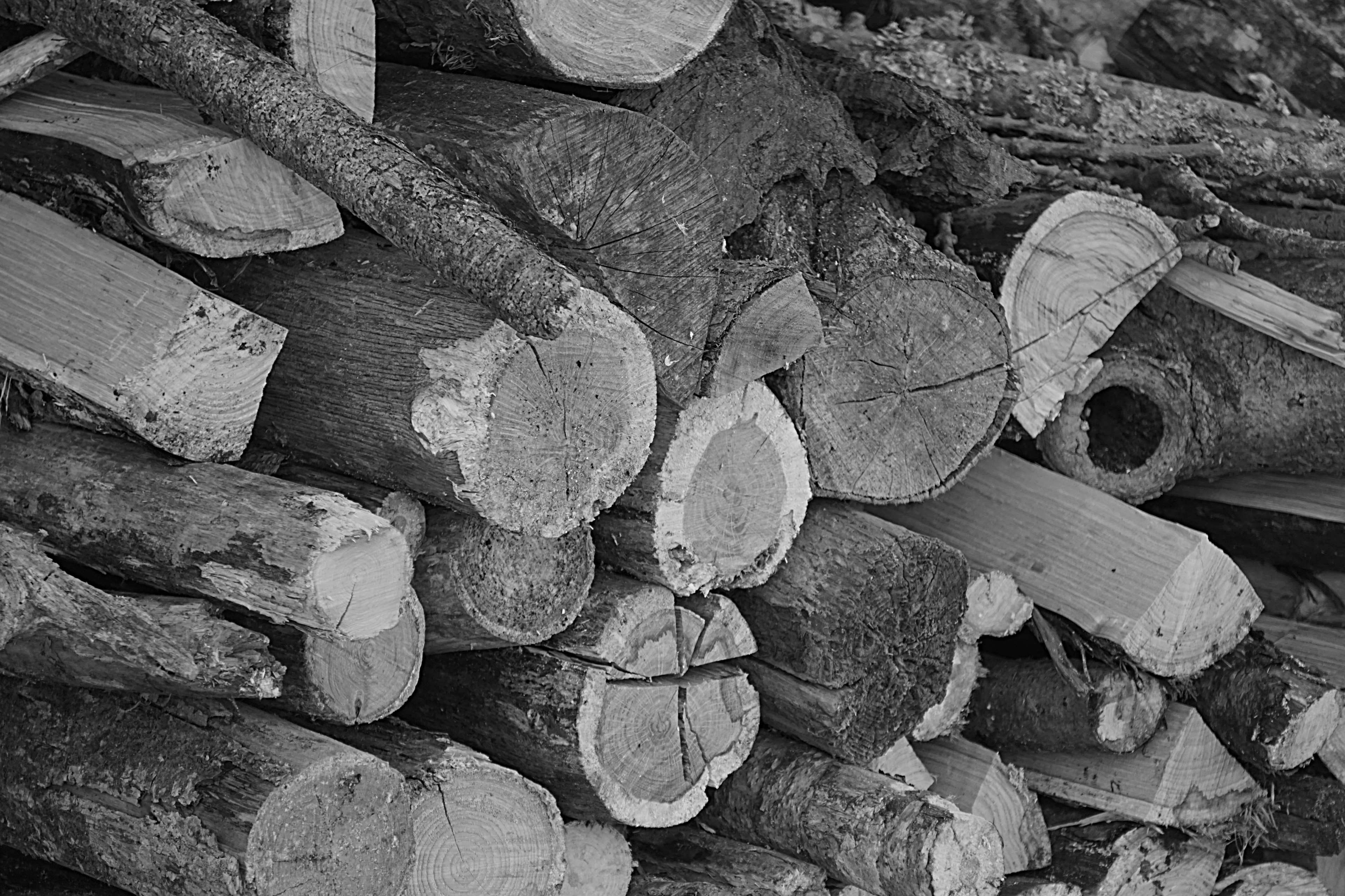 timber, outdoors, abundance, 4K, cheminee, deforestation, tree, full frame, bois, large group of objects, nature, wood, campagne, environmental issues, HD Wallpaper
