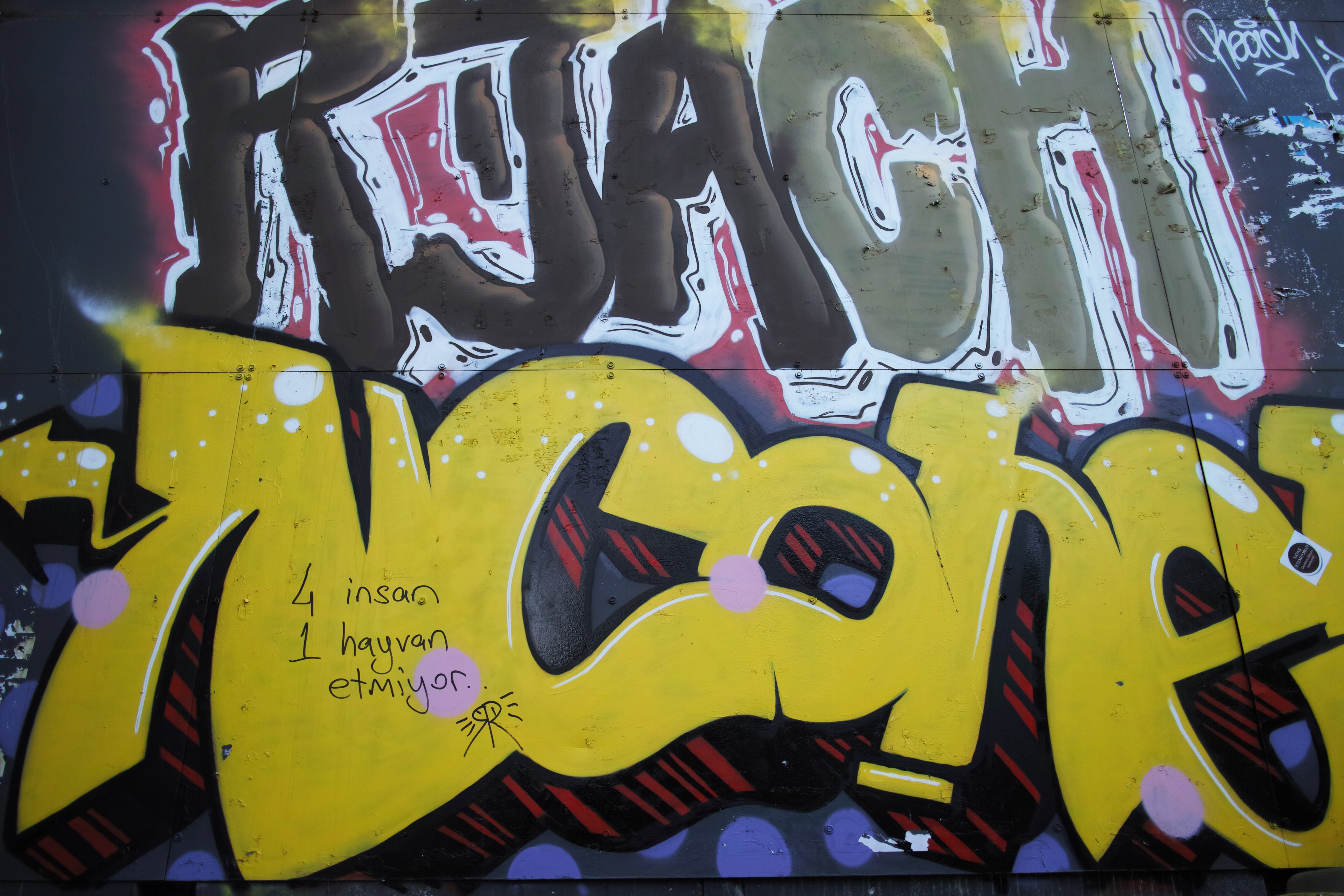 full frame, city, city ​​center, selective focus, pattern, fine arts, entertainment, copy space, text, conceptual, animal representation, graffiti, creativity, HD Wallpaper
