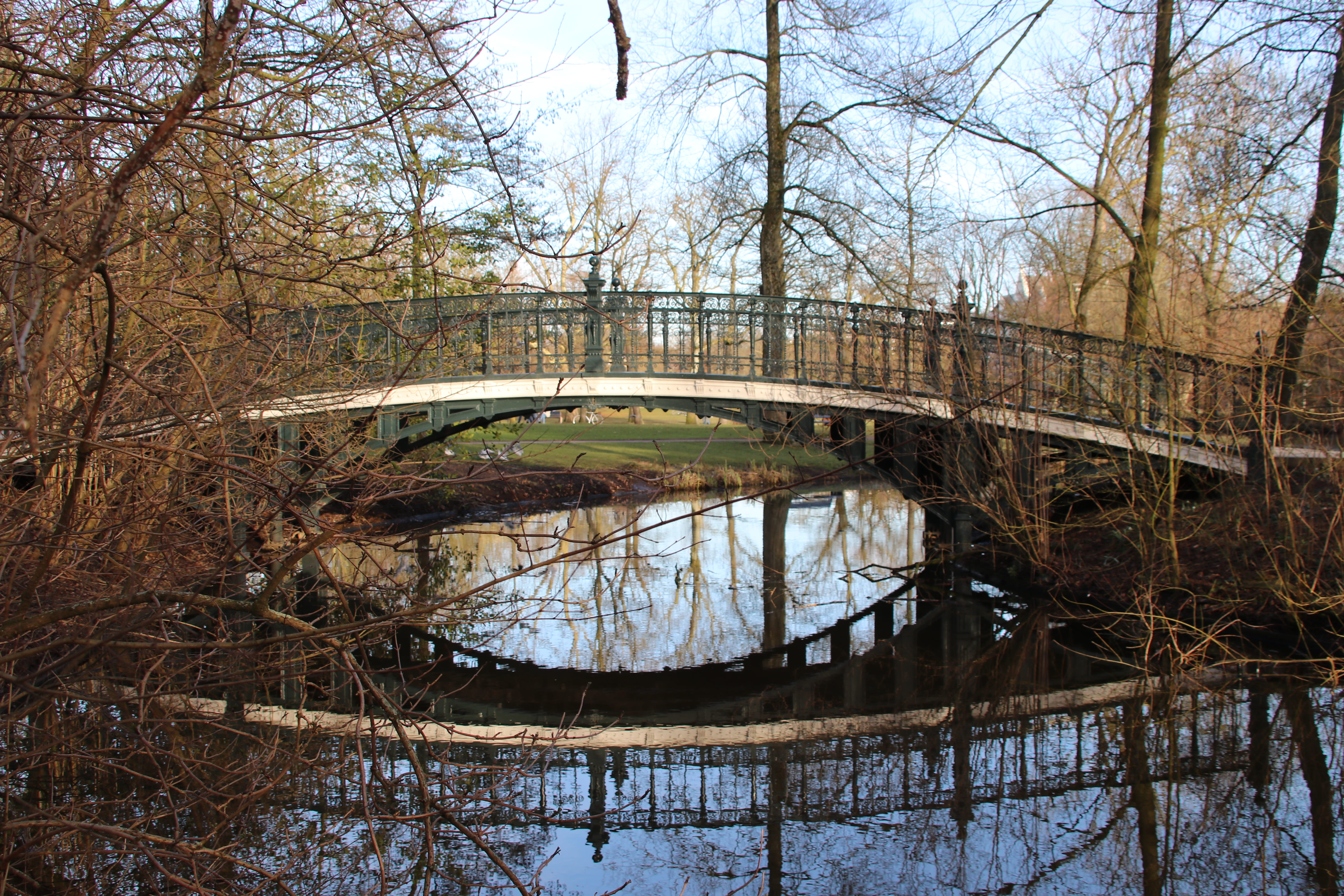 tree, puente, parque, river, water, built structure, branch, park, connection, trees, day, no people, reflection, bridge, bare tree, netherlands, 5K, transportation, HD Wallpaper