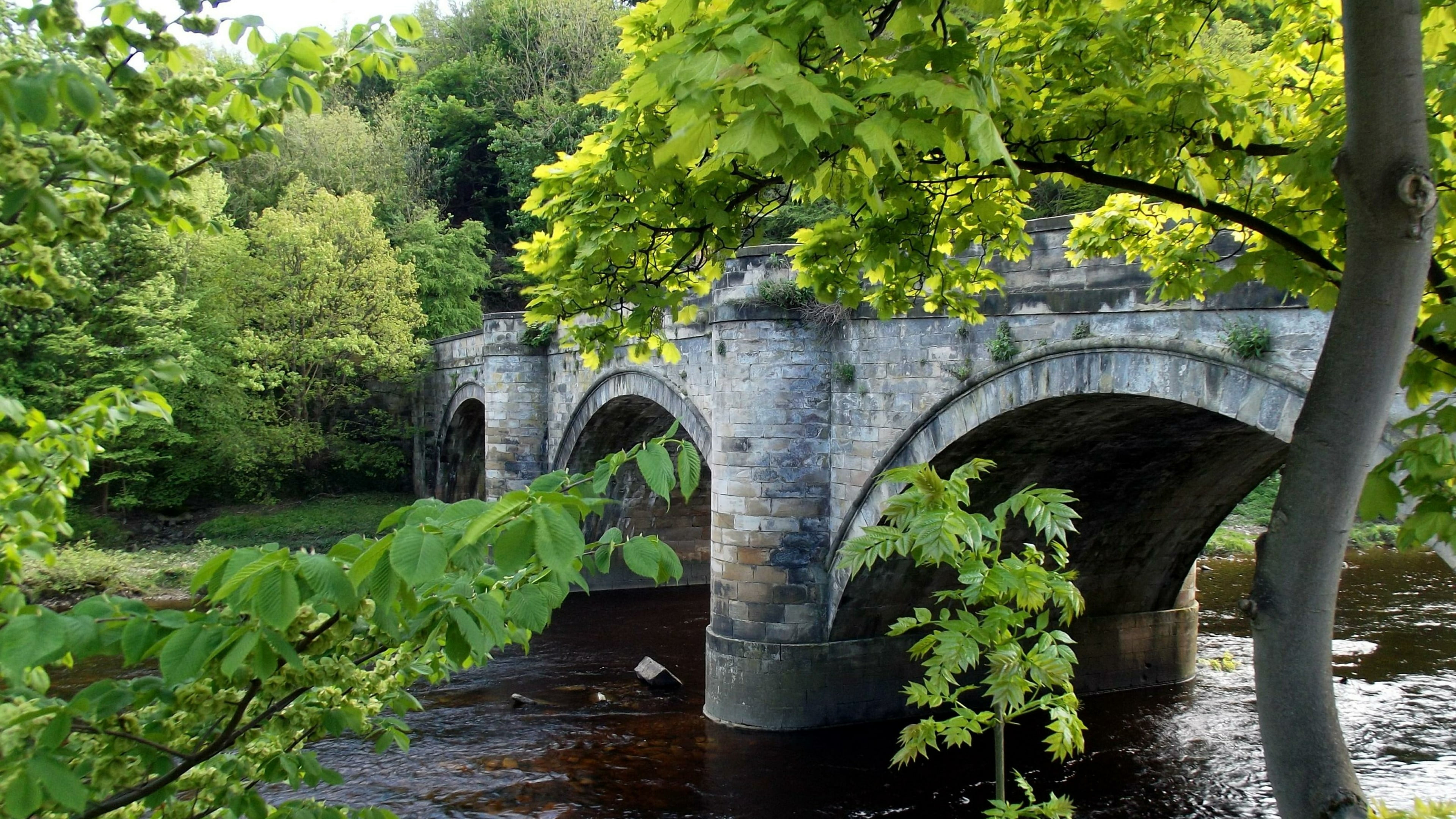bridge of forgiveness, europe, built structure, stone bridge, grass, plant part, leaf, tree, no people, puente del perdón, arch bridge, green leaves, 4K, HD Wallpaper