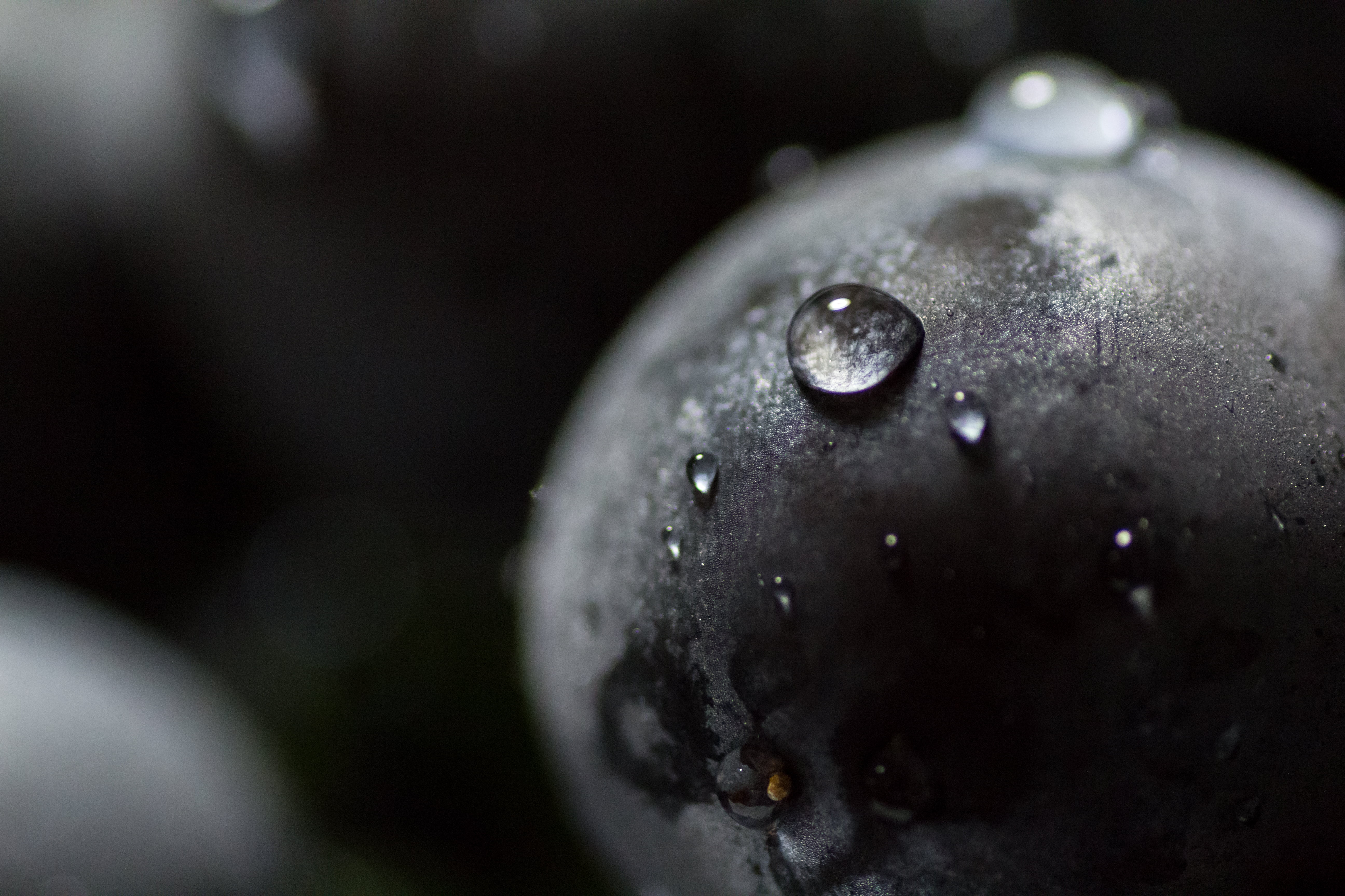 selective, nature, berry Fruit, Japan, lightroom, Kanagawa, ripe, dessert, tamron, drop, food, droplets, lr, close-up, マクロ, leaf, black, healthy Eating, HD Wallpaper