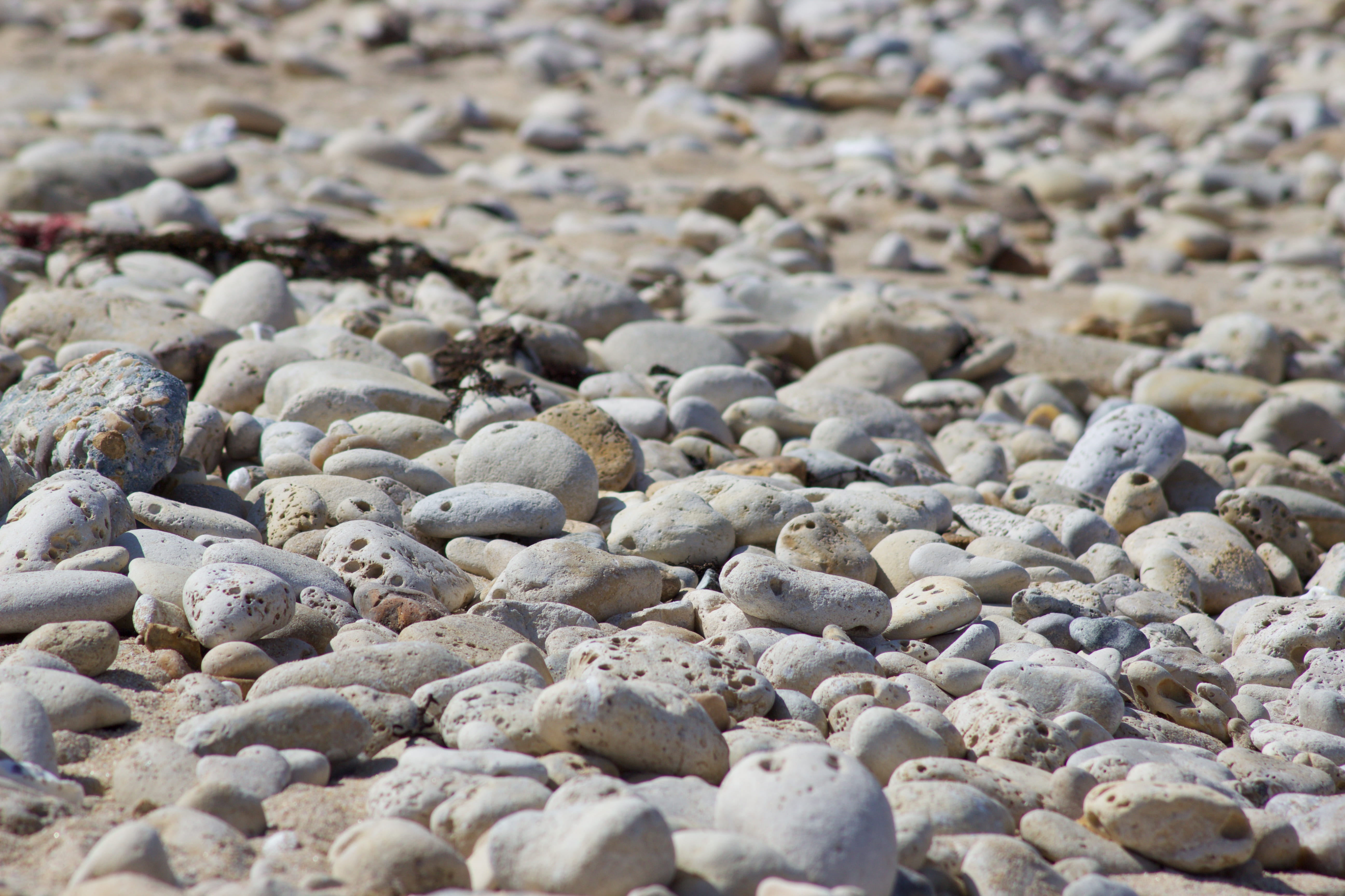 large group of objects, île de ré, france, full frame, surface level, stone, land, pebble, stone - object, day, rock - object, beach, outdoors, pattern, HD Wallpaper