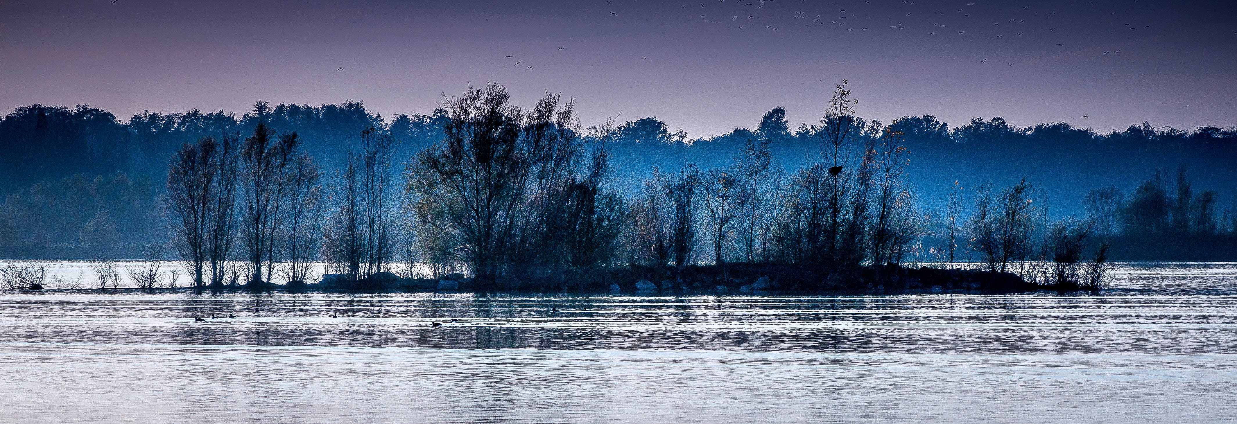 reflection, sky, water, body, Floods, Île-de-France, body of water, 4K, forest, outdoors, landscape, lake, photo, tree, nature, scenics, blue, winter, HD Wallpaper
