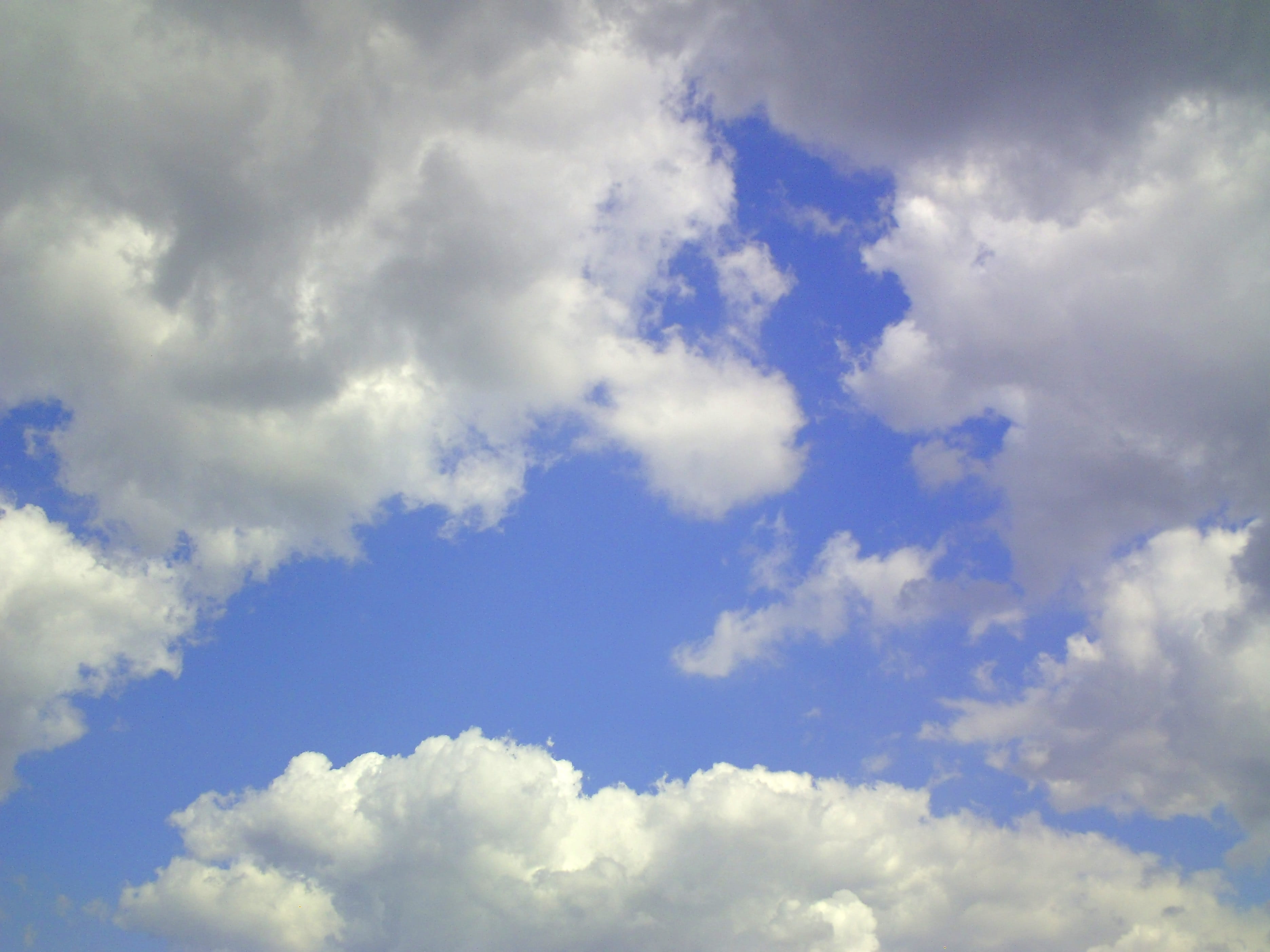 cloudscape, Sky, scenics - nature, cumulus, meteorology, environment, noon, nature, summer, sunshine, nice weather, white, clouds, sky, low angle view, HD Wallpaper