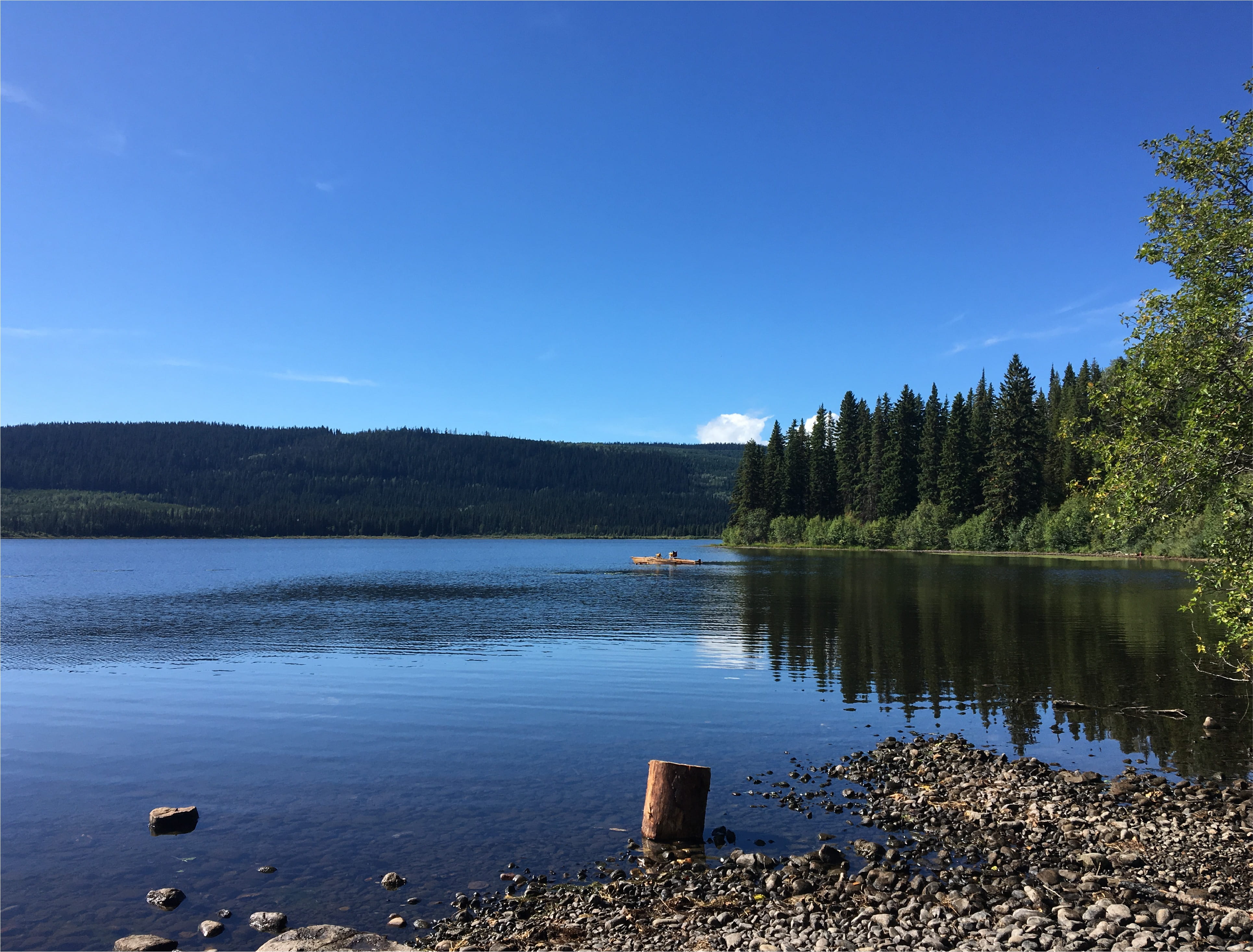 beauty in nature, scenics - nature, canada, no people, northwest, clear sky, day, travel, plant, calm, nature, growth, holiday, sky, bc, lake, labor day, HD Wallpaper