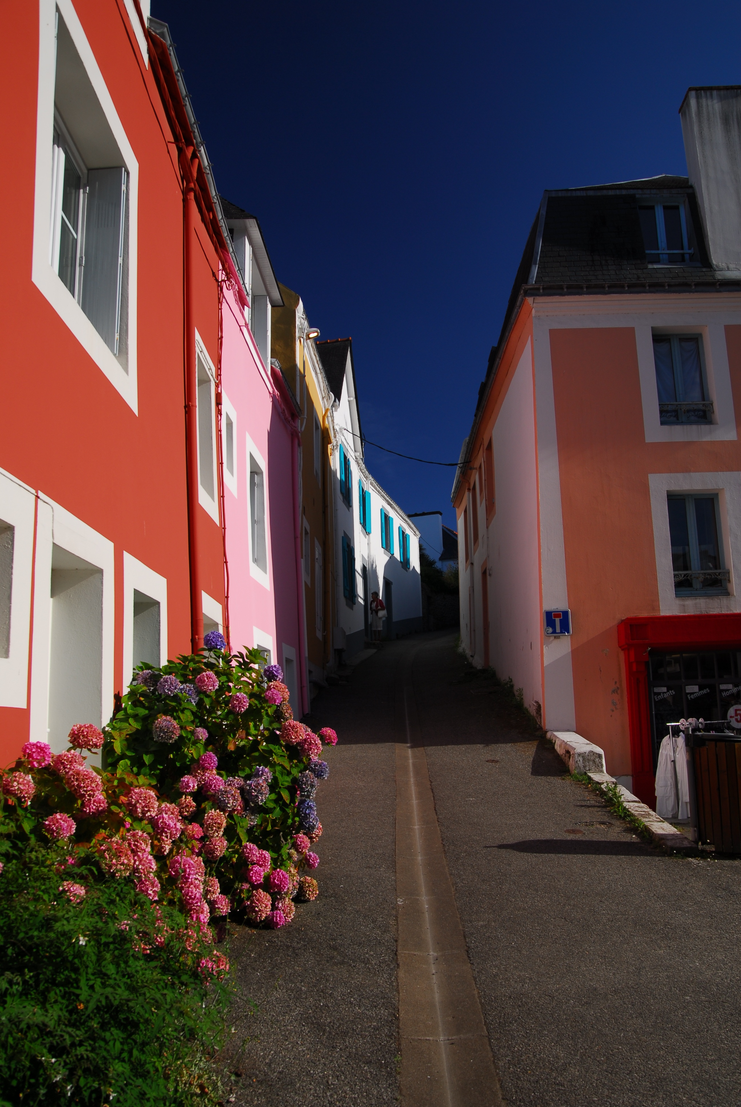 plant, blue, house, flower, diminishing perspective, city, residential district, belle-ile-en-mer, building, ride, tourism, street, france, village, the way forward, Phone HD Wallpaper