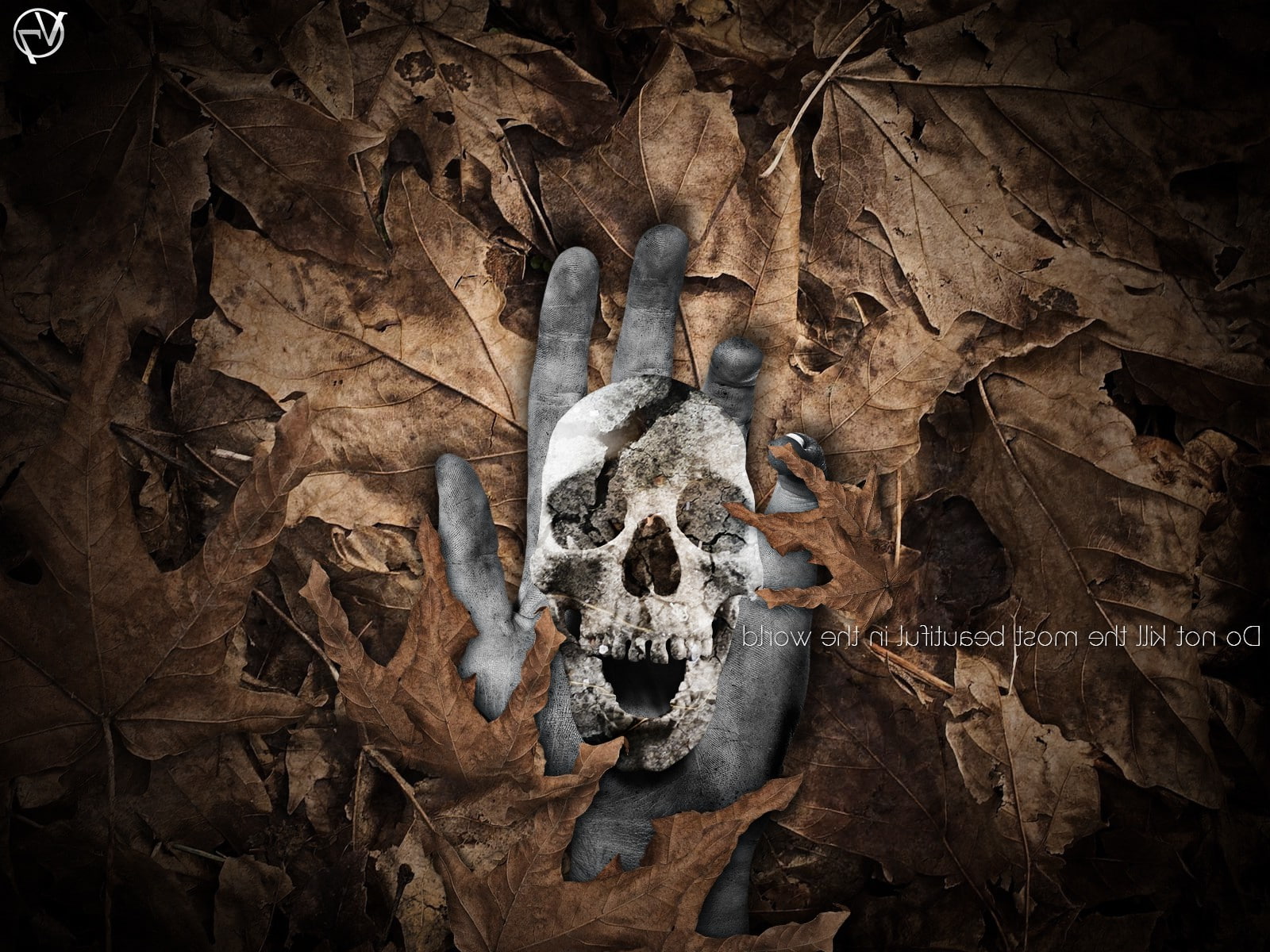 leaves, animal, animal skull, 720P, no people, death, cave, close-up, body part, skeleton, representation, spooky, Photo Manipulation, day, animal body part, HD Wallpaper