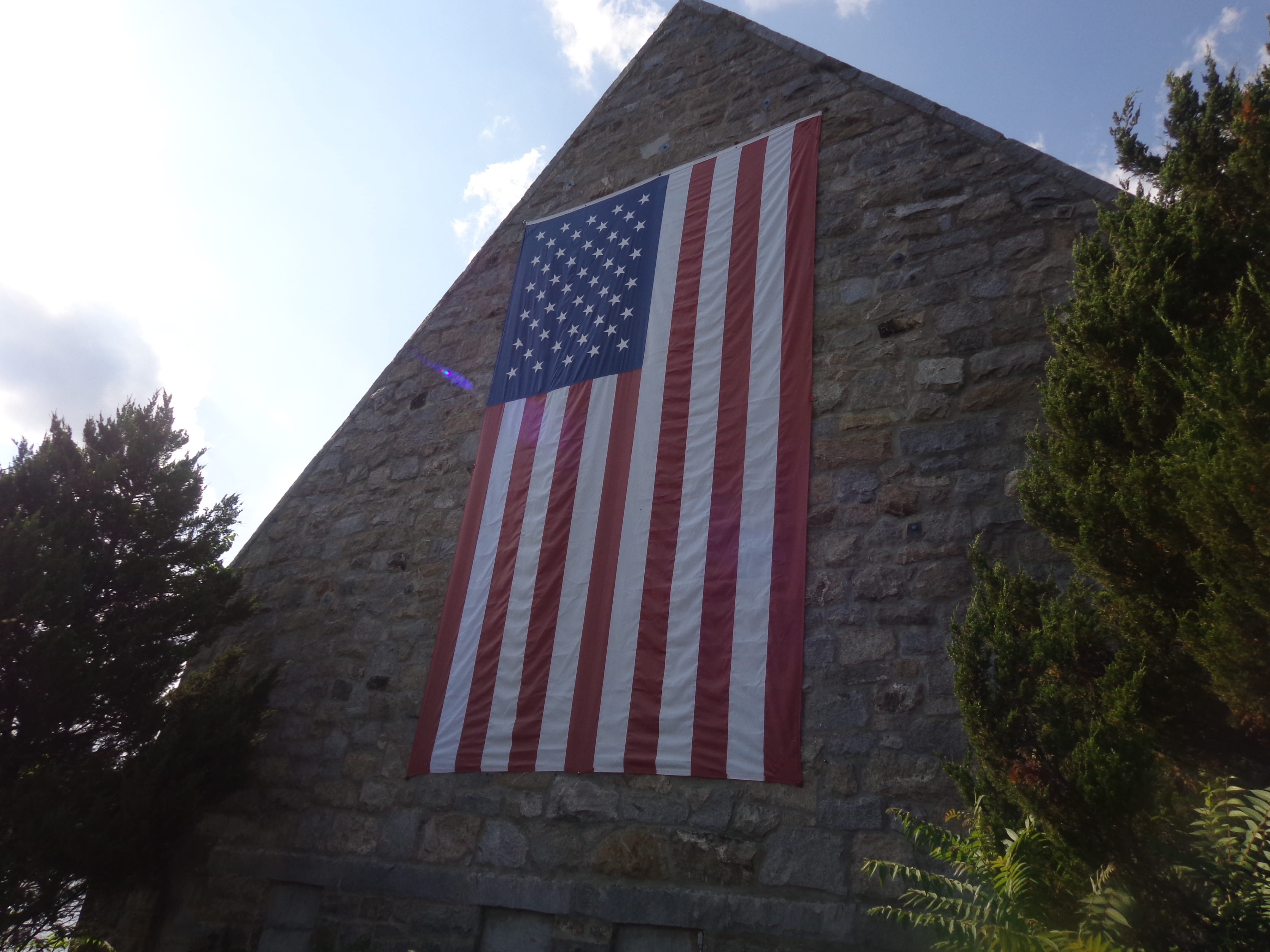 árboles, standing firm, architecture, no worries, low angle view, estados unidos, shape, cielo despejado, nature, patriotism, patria, 4K, red, bandera, HD Wallpaper