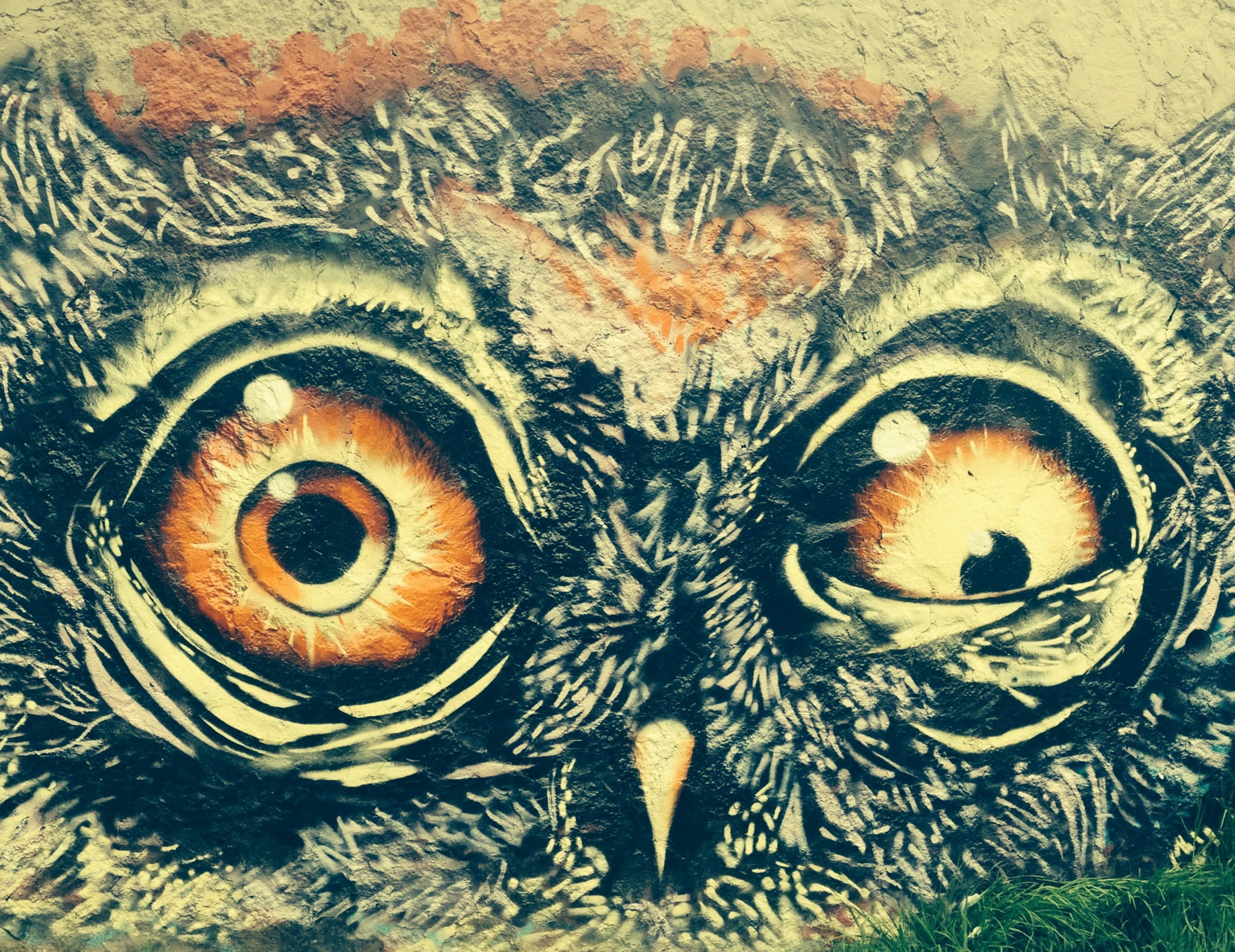 drawing, sensory perception, eye, iris - eye, eyelash, human eye, eyeball, close-up, ave, 1080P, crazy, full frame, backgrounds, animal body part, art, HD Wallpaper