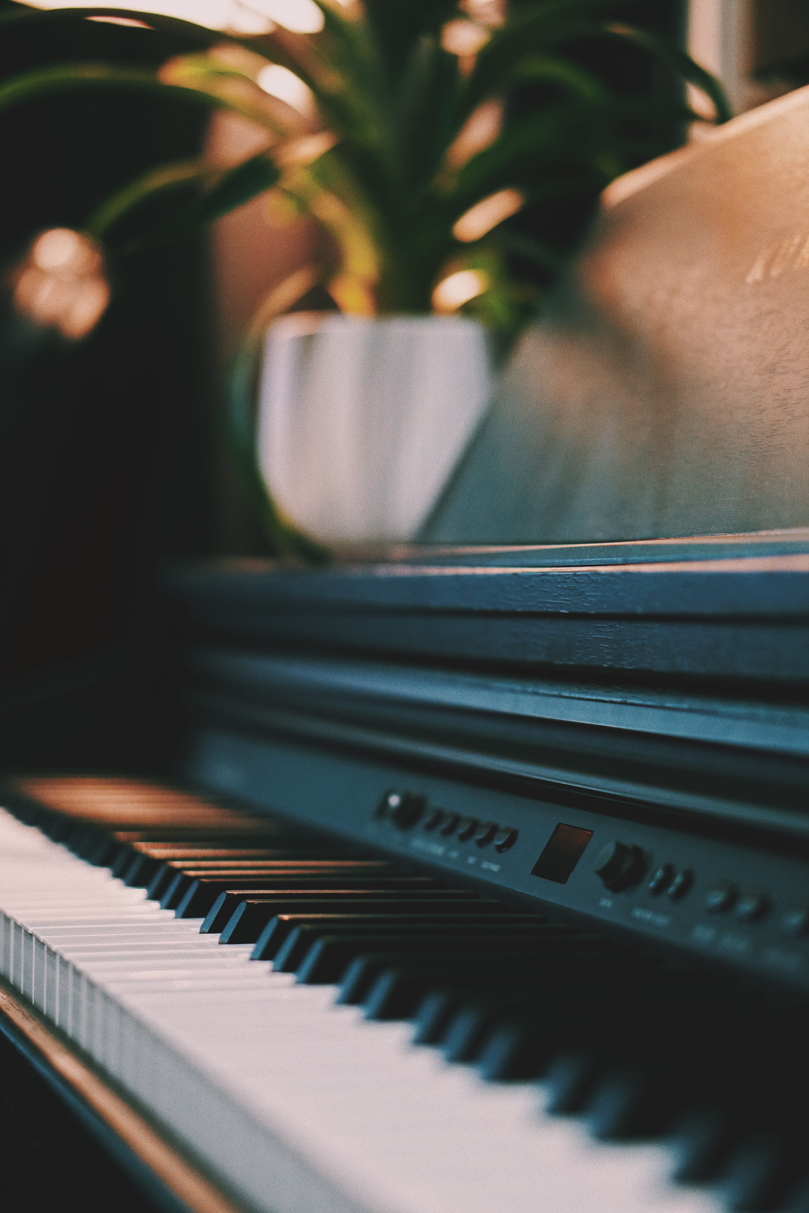 grand piano, finger, day, music, piano key, bokeh, nature, 4K, potted plant, electric guitar, closeup, hardware, plant, playing, no people, musical equipment, Phone HD Wallpaper
