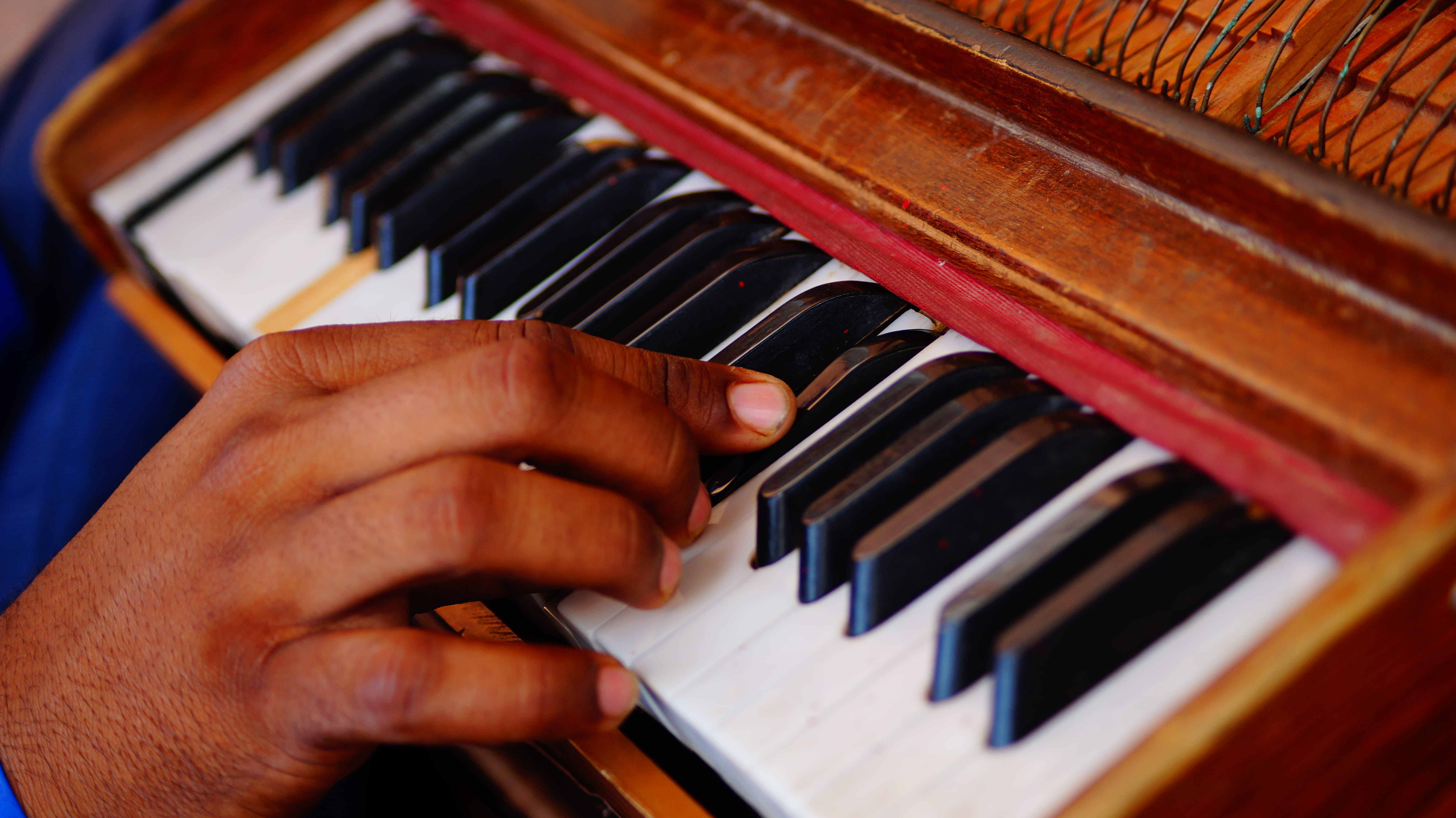 confectionery, 5K, keyboard, computer hardware, skill, hand, hardware, pianist, piano, person, human body part, antique, close-up, piano key, computer, HD Wallpaper