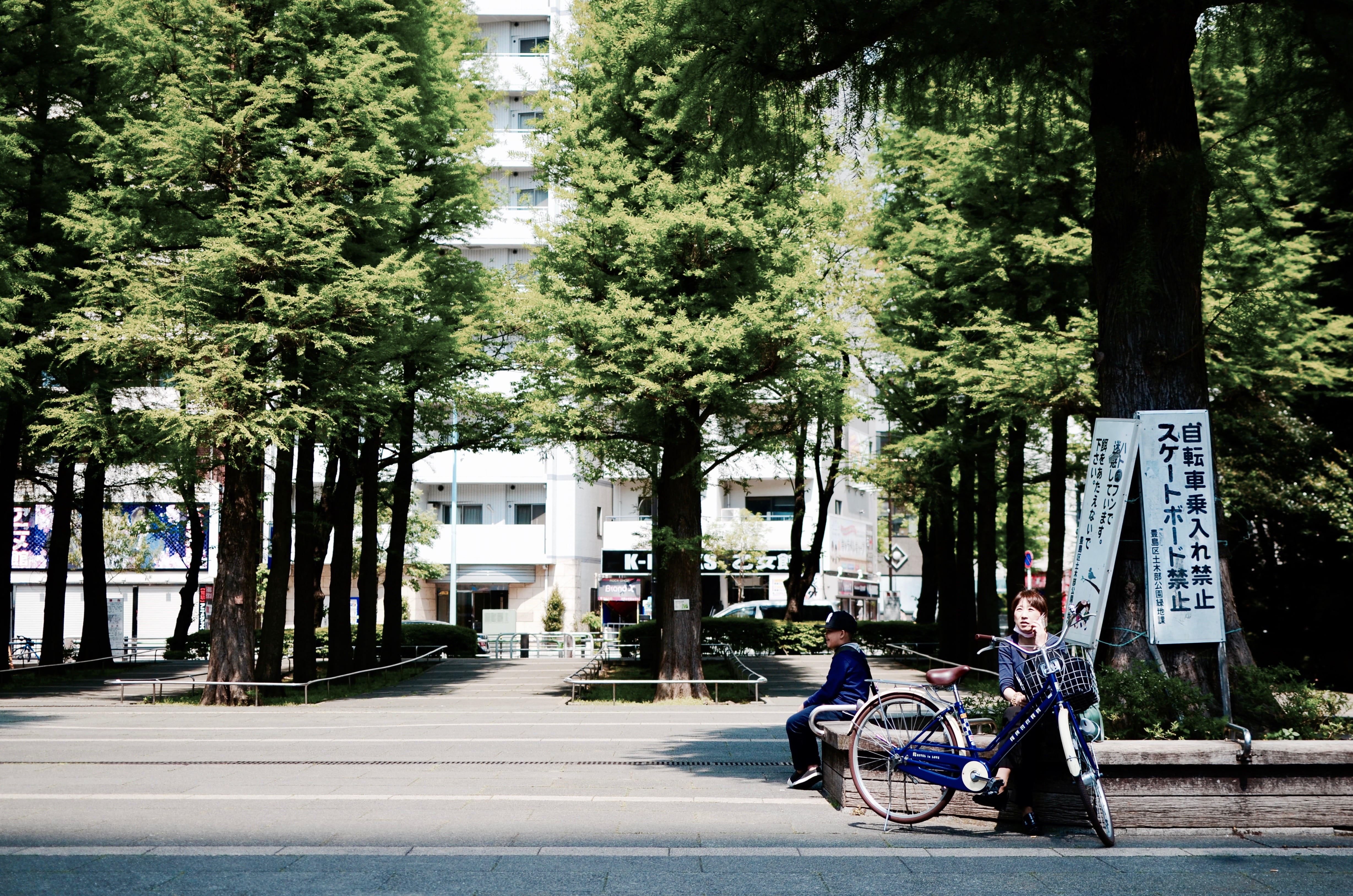 building, tree trunk, architecture, growth, bicycle, urban, built structure, land vehicle, 4K, banner, group of people, road, plant, outdoors, street, HD Wallpaper