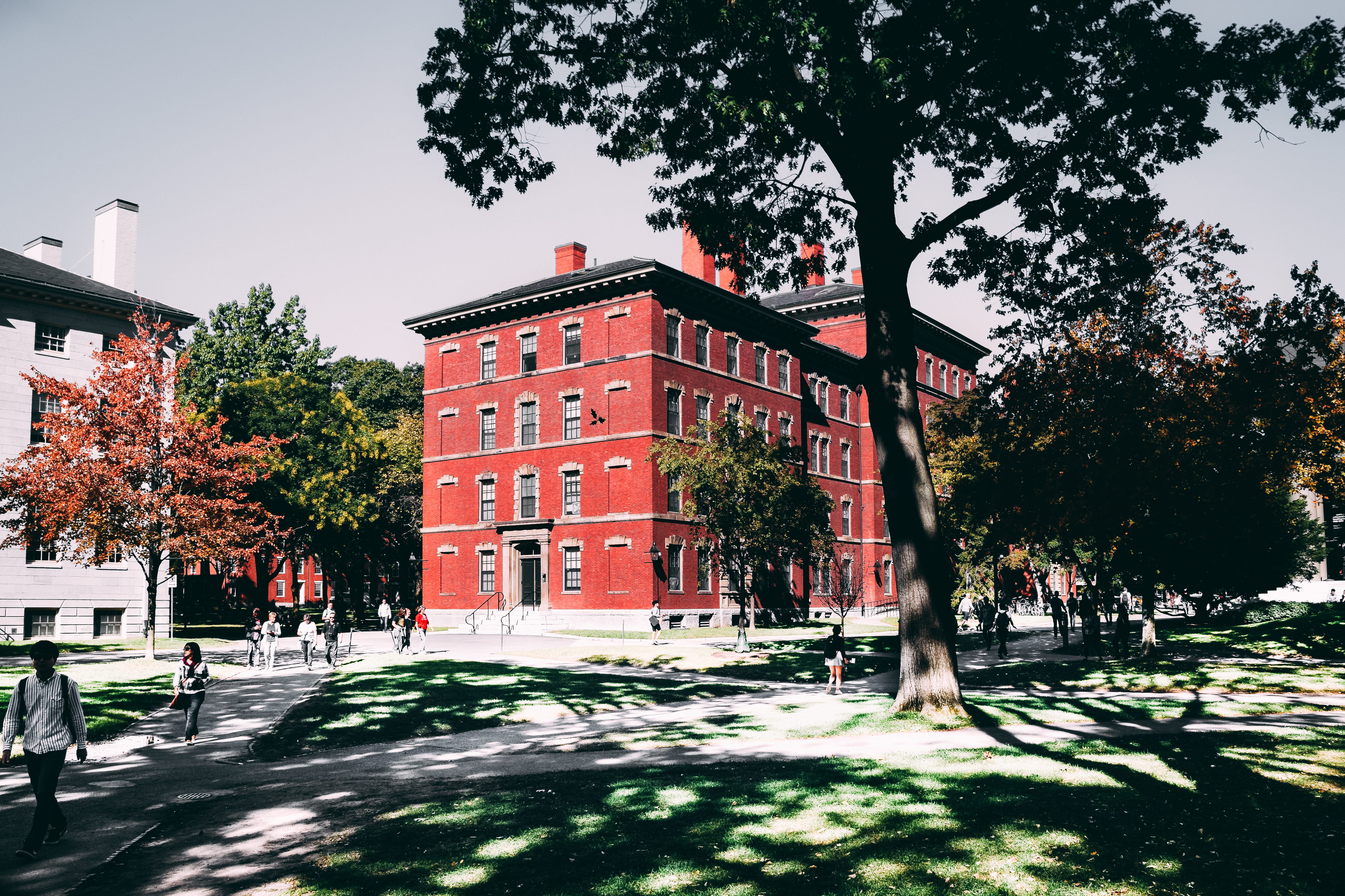 college, building, 5K, building exterior, design, sunlight, tree, outdoors, windows, people, town, architectural design, school, manhattan, HD Wallpaper