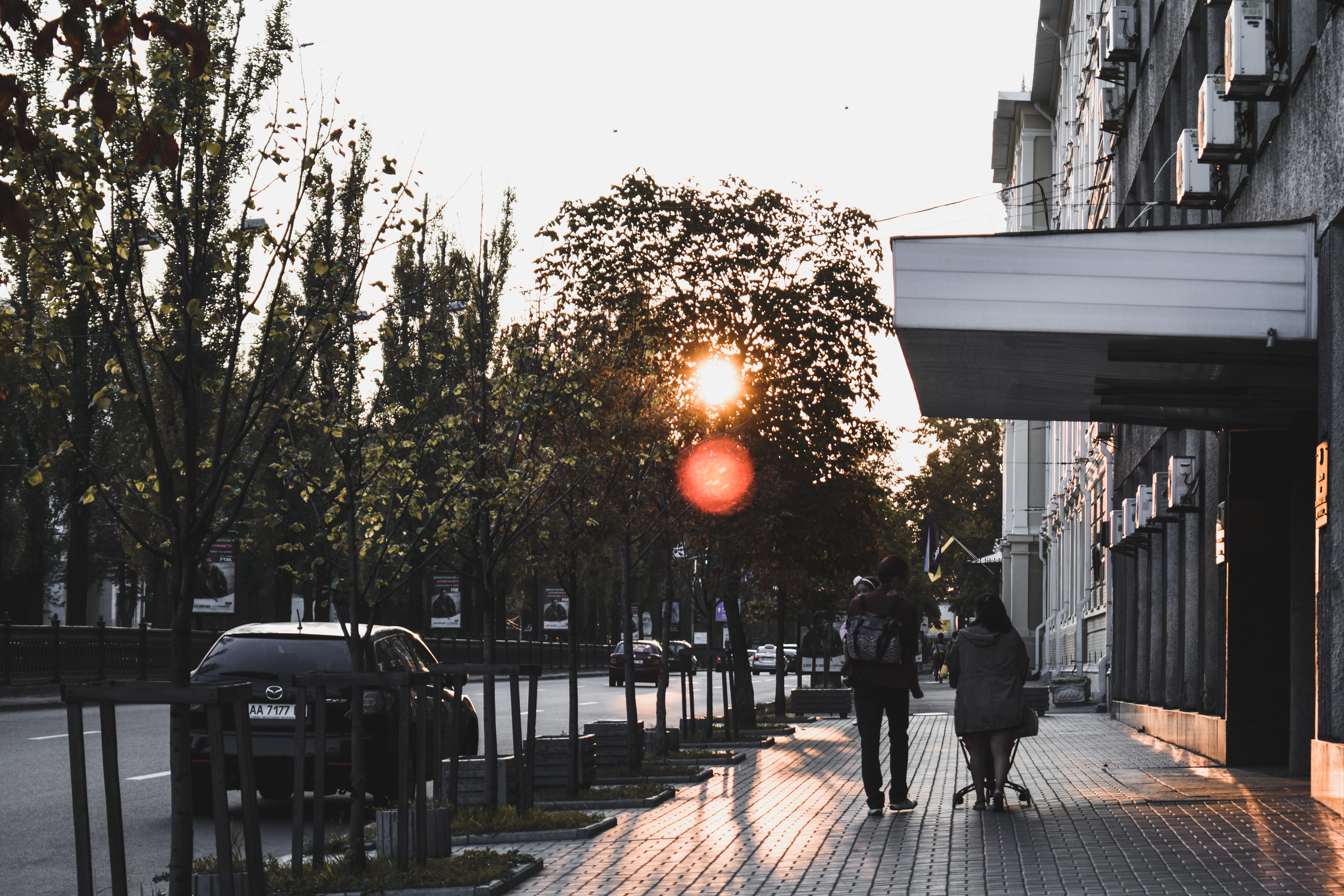 person, lifestyles, street, urban, people, real people, sunset, cars, town, sky, rear view, day, plant, outdoors, 5K, city, sidewalk, tree, nature, sunrise, HD Wallpaper