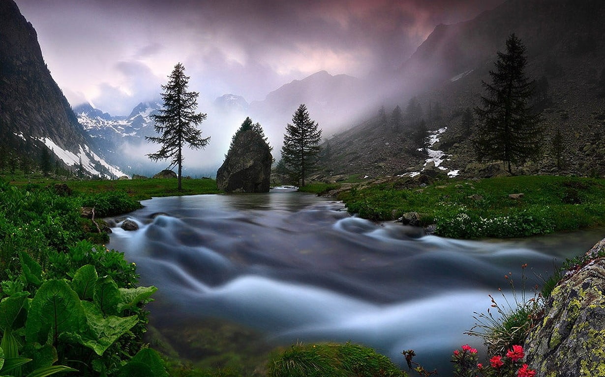 sky, woodland, Italy, outdoors, non-urban scene, cloud - sky, green color, mountain, environment, plant, pine tree, water, nature, mountains, illustration, HD Wallpaper