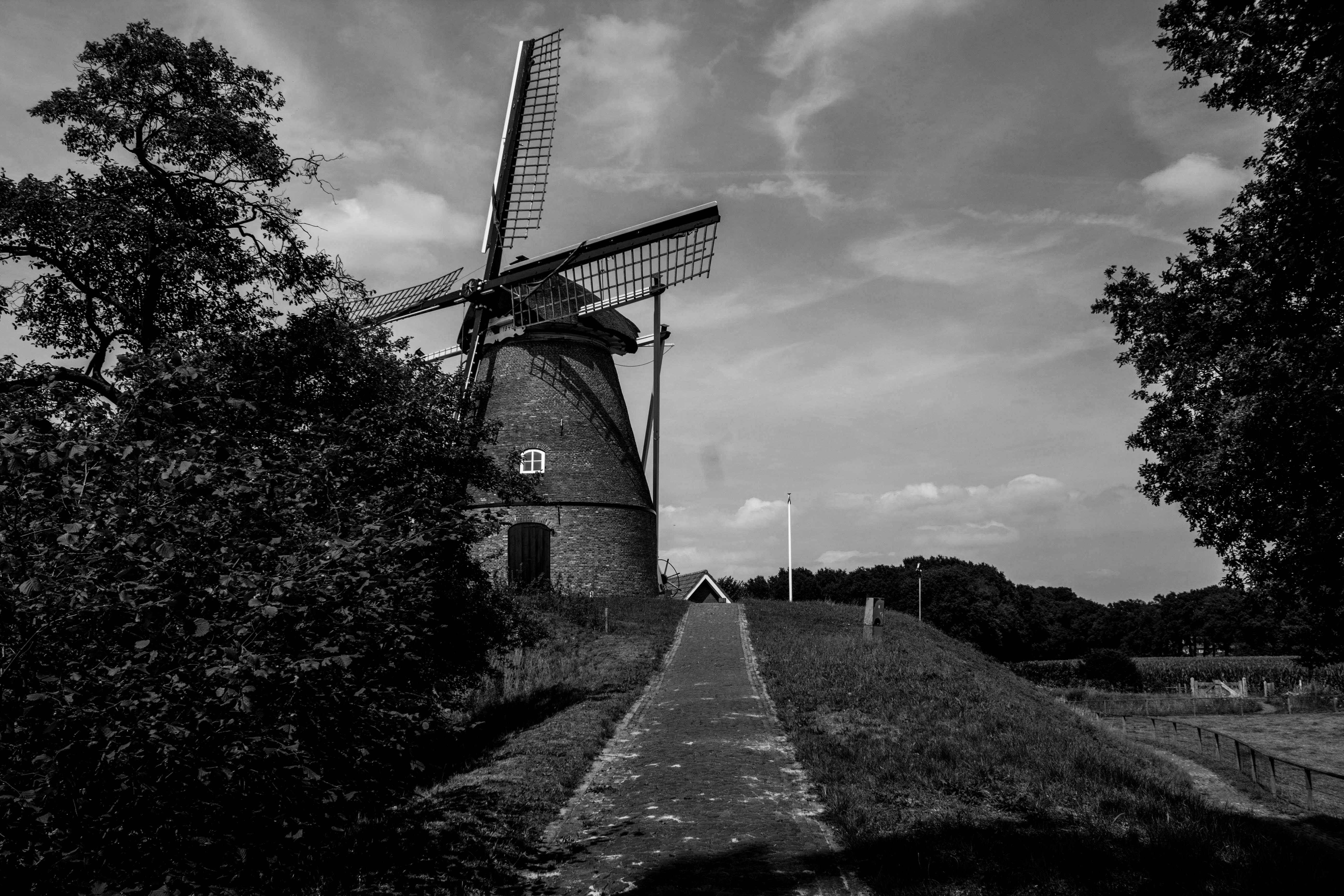 sky, people, vibes, culture, environment, wind power, architecture, cloud - sky, tree, object, the way forward, netherlands, 5K, summer, dutch, see, building exterior, HD Wallpaper