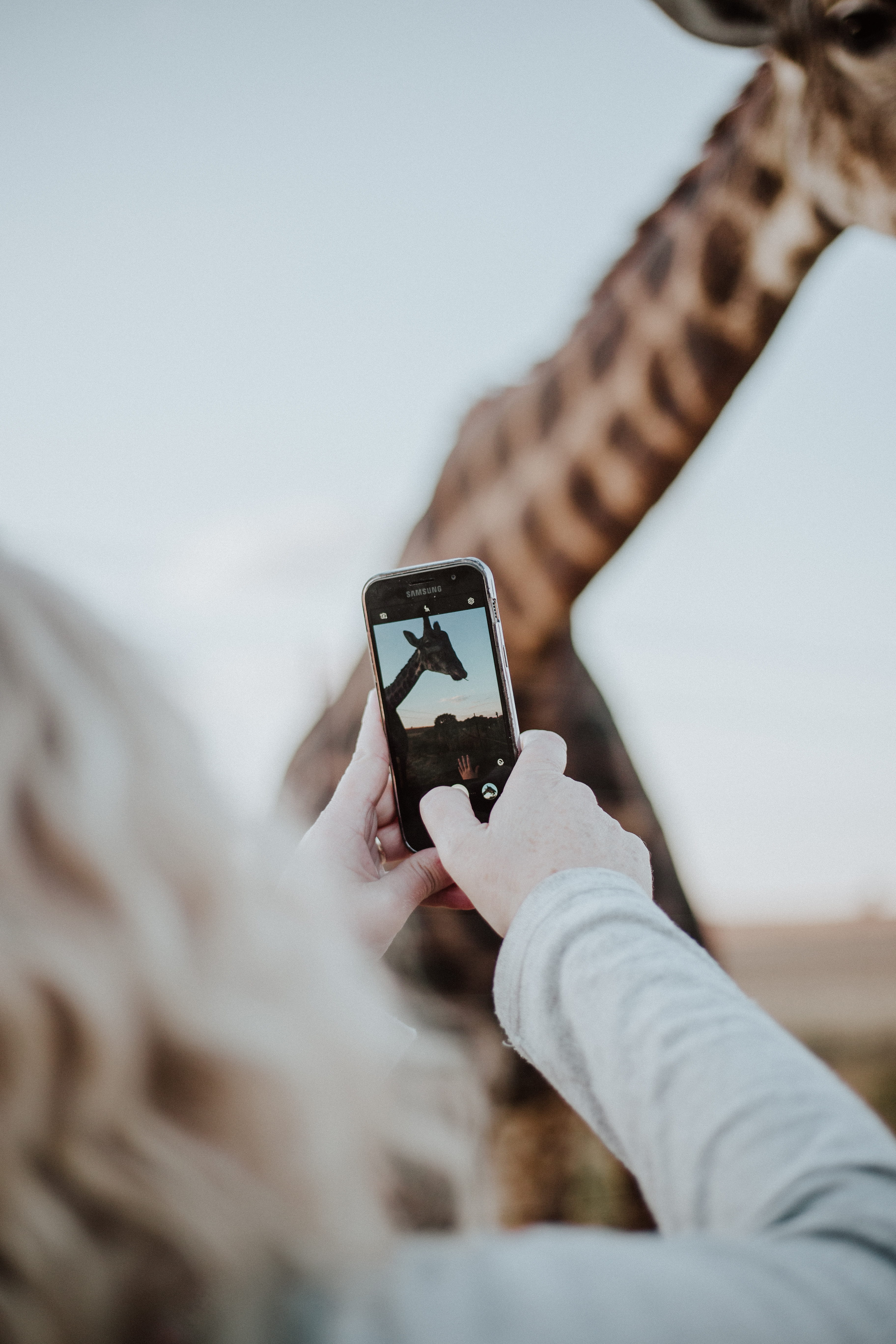 instagram, hand, photo messaging, activity, wireless technology, cell phone, focus, mobile phone, animal, photography themes, people, photographer, person, Phone HD Wallpaper