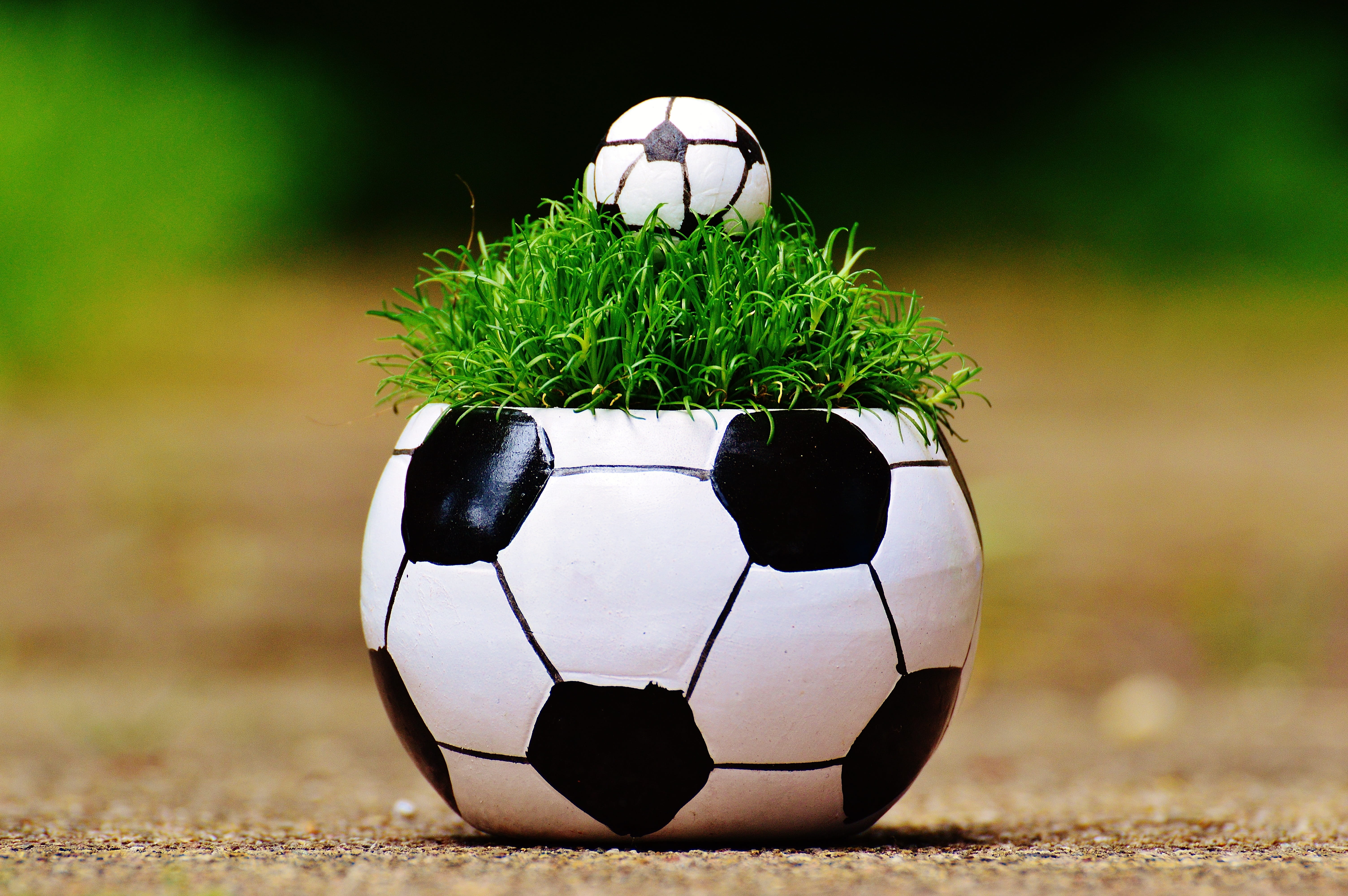 nature, playing, sports equipment, em, black color, white color, tournament, sports Team, world championship, green Color, stadium, france, no people, European Championship, HD Wallpaper