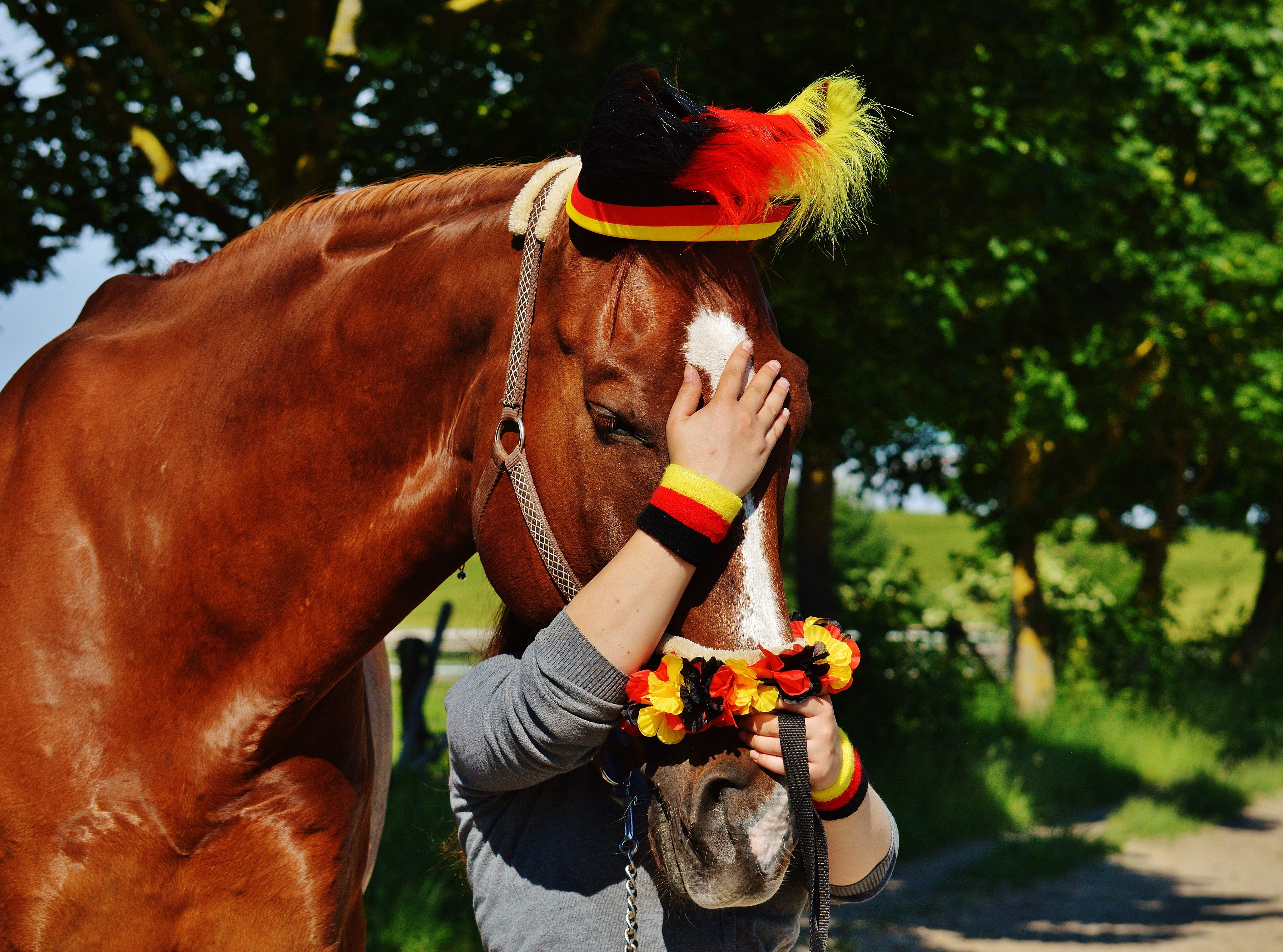 nature, hair, woman, france, domestic animals, mammal, leisure activity, funny, domestic, european championship, germany, brown, football, pets, holding, HD Wallpaper