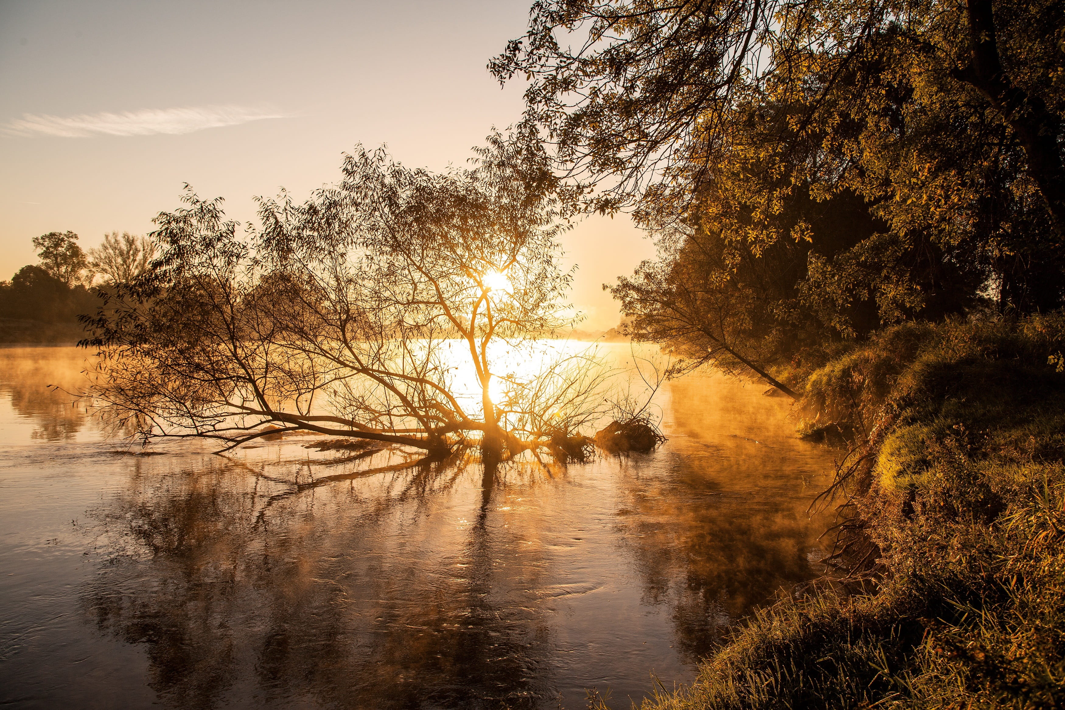 growth, dawn, outdoors, remote, tranquility, plant, sunset, 2K, waterfront, fleuve, reflection, idyllic, france, sky, scenics - nature, lake, loire, tree, HD Wallpaper