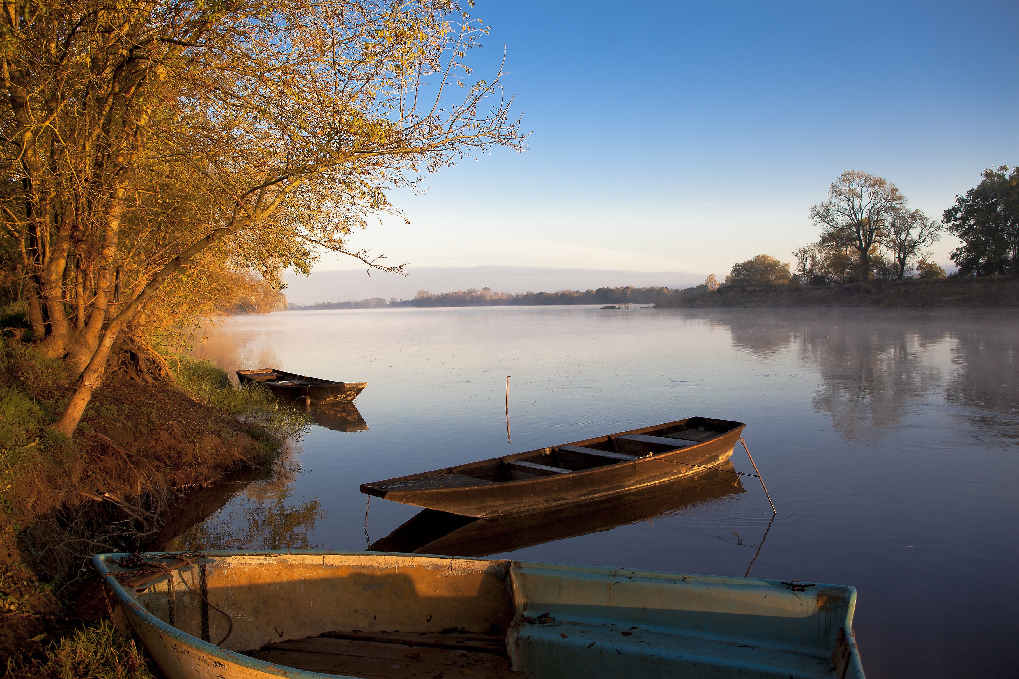 beauty in nature, nautical vessel, plant, travel, sunrise, scenics - nature, mode of transportation, tranquility, moored, fleuve, 2K, wood - material, HD Wallpaper