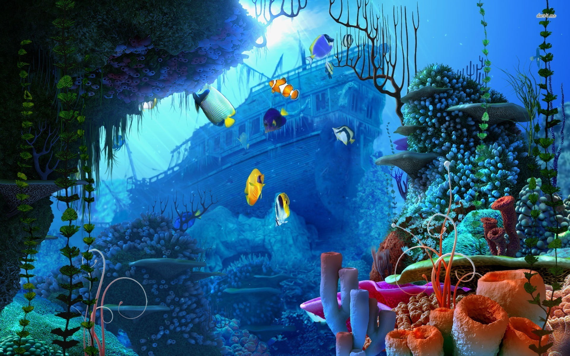 animal themes, large group of animals, 1080P, tank, animal wildlife, no people, water, vertebrate, group of animals, plant, underwater screensavers and backgrounds, HD Wallpaper