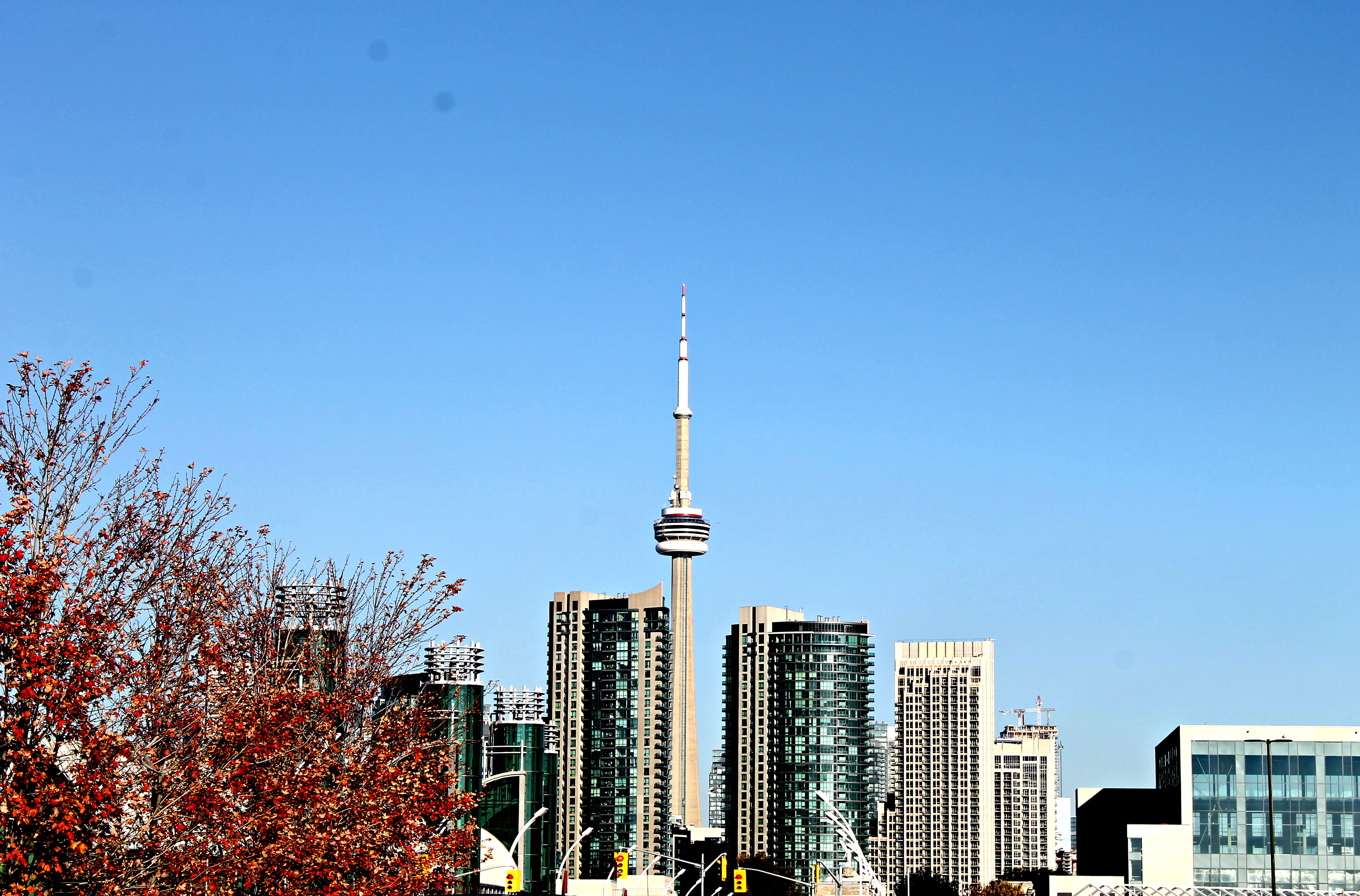 tall - high, day, building exterior, travel destinations, city, canada, cityscape, views, spire, 4K, no people, built structure, toronto, tree, sky, skyscraper, HD Wallpaper