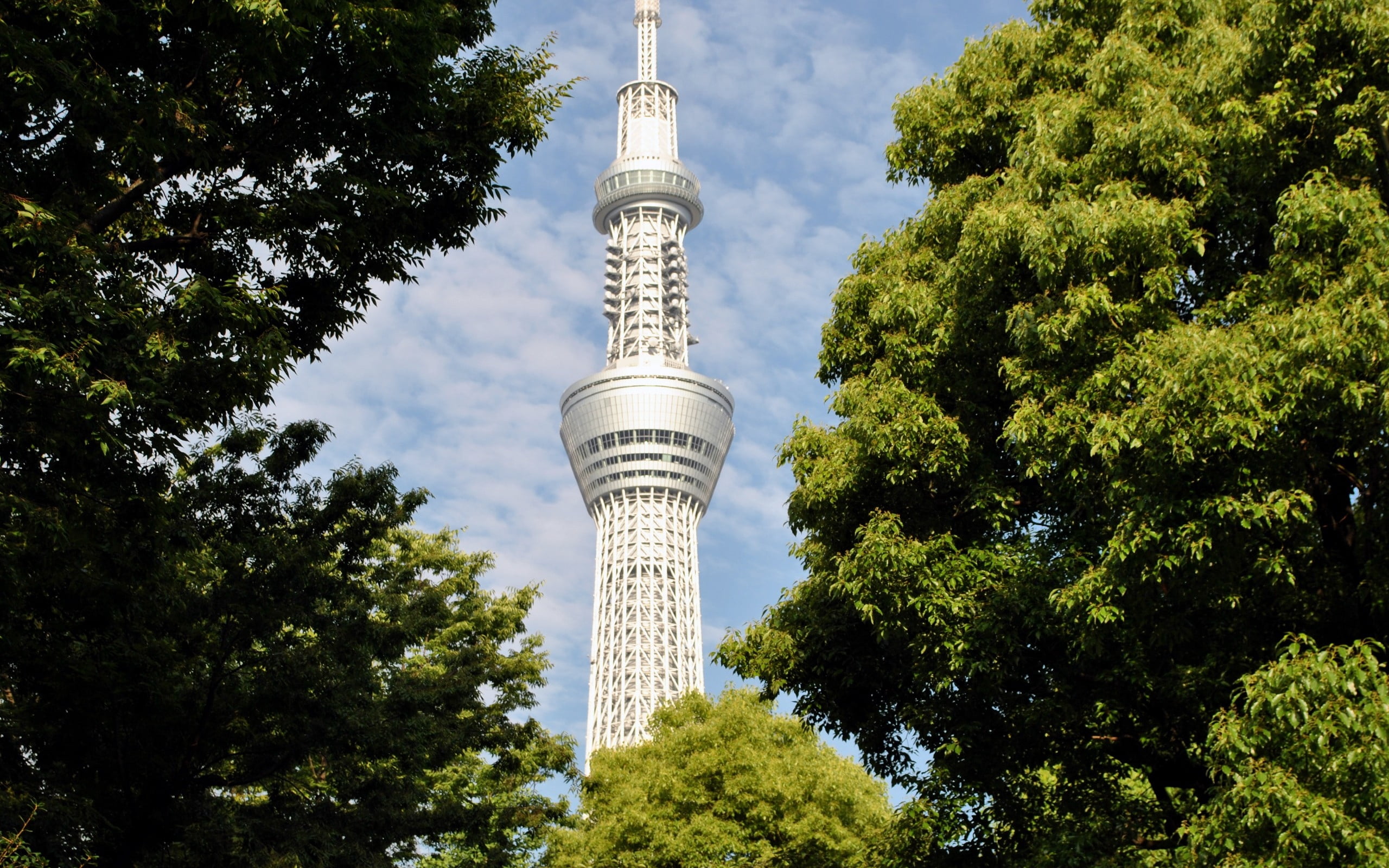japan, trees, urban Scene, spire, tokyo, low angle view, nature, travel Destinations, travel, monument, tree, tourism, cultures, global communications, HD Wallpaper
