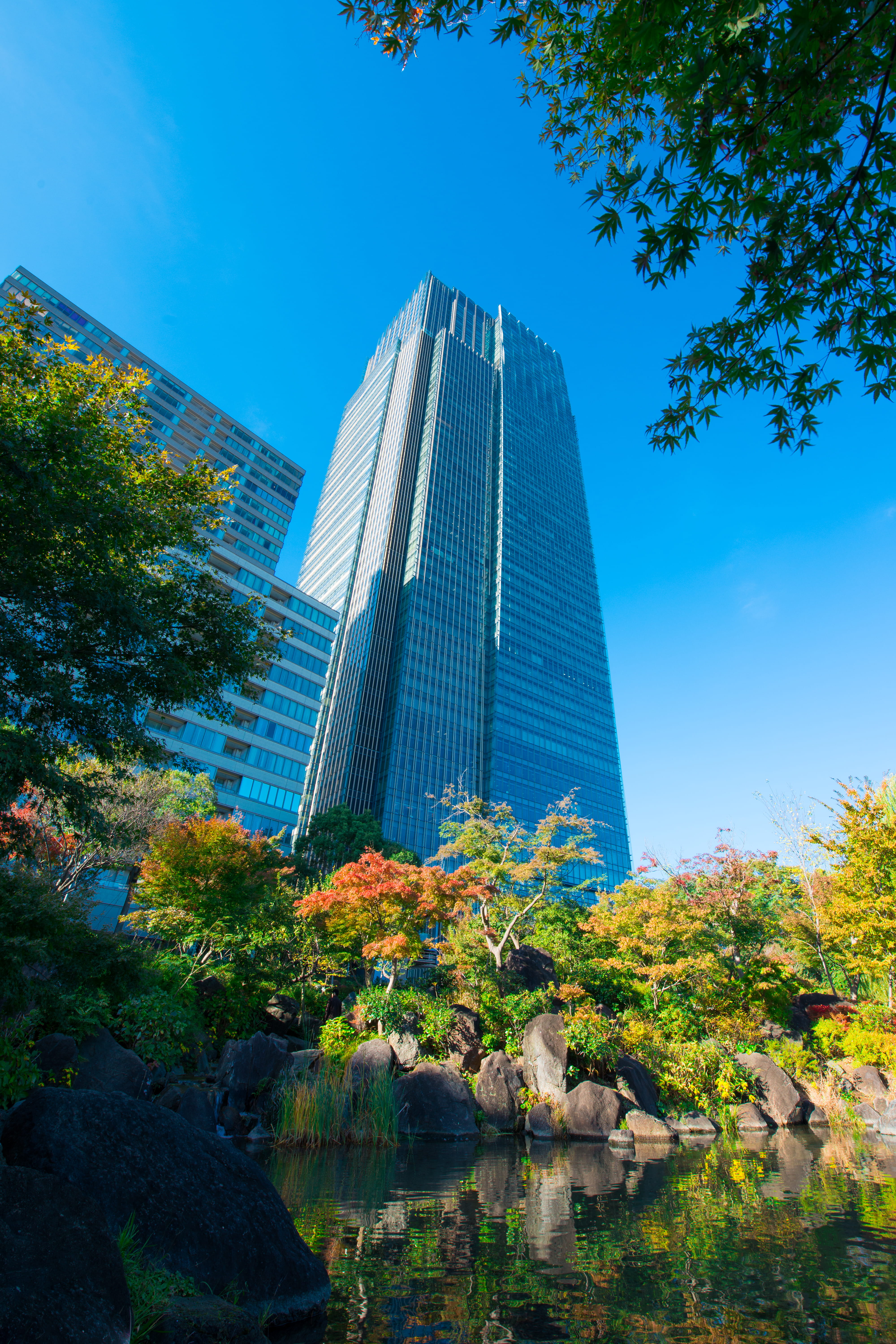 office building exterior, landscape, sky, blue, city, outdoor, 5K, relaxing, japan, tall - high, plant, japanese, office, no people, night, tree, tokyo midtown, Phone HD Wallpaper
