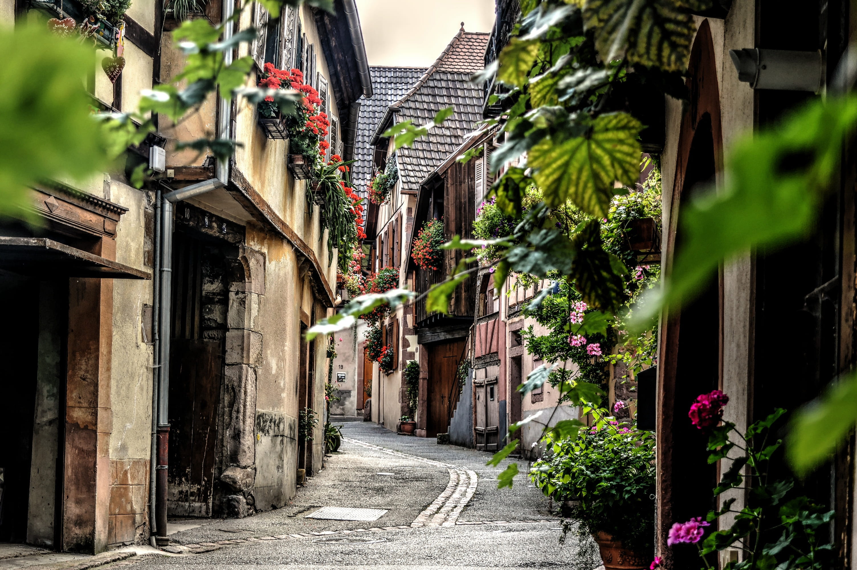houses, house, no people, residential district, outdoors, building exterior, the way forward, narrow, footpath, city, street, tree, colmar, alley, architecture, HD Wallpaper