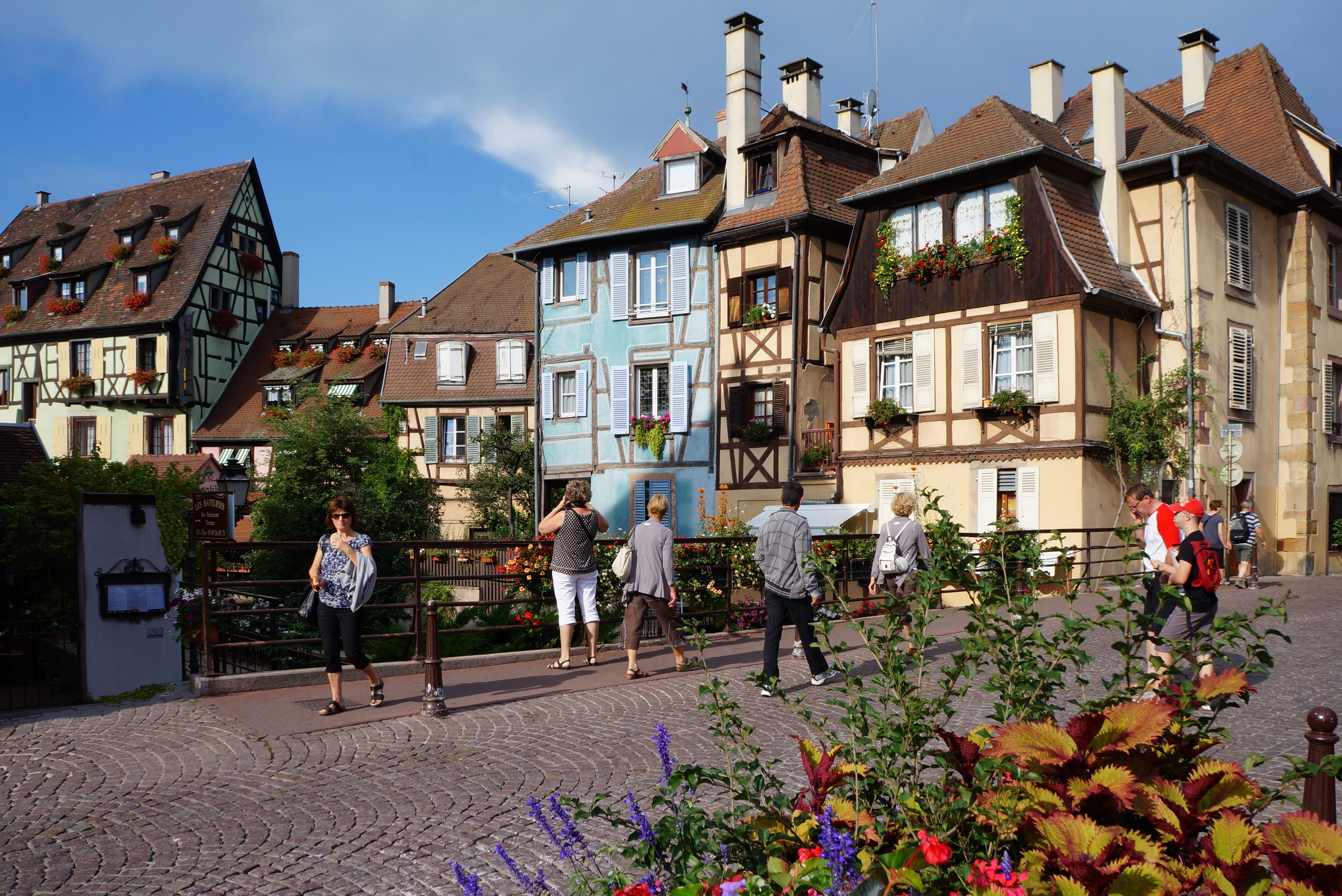 colmar, tourism, outdoors, alsace, flowering plant, truss, places of interest, old, walking, sightseeing, people, home, plant, architecture, real people, HD Wallpaper