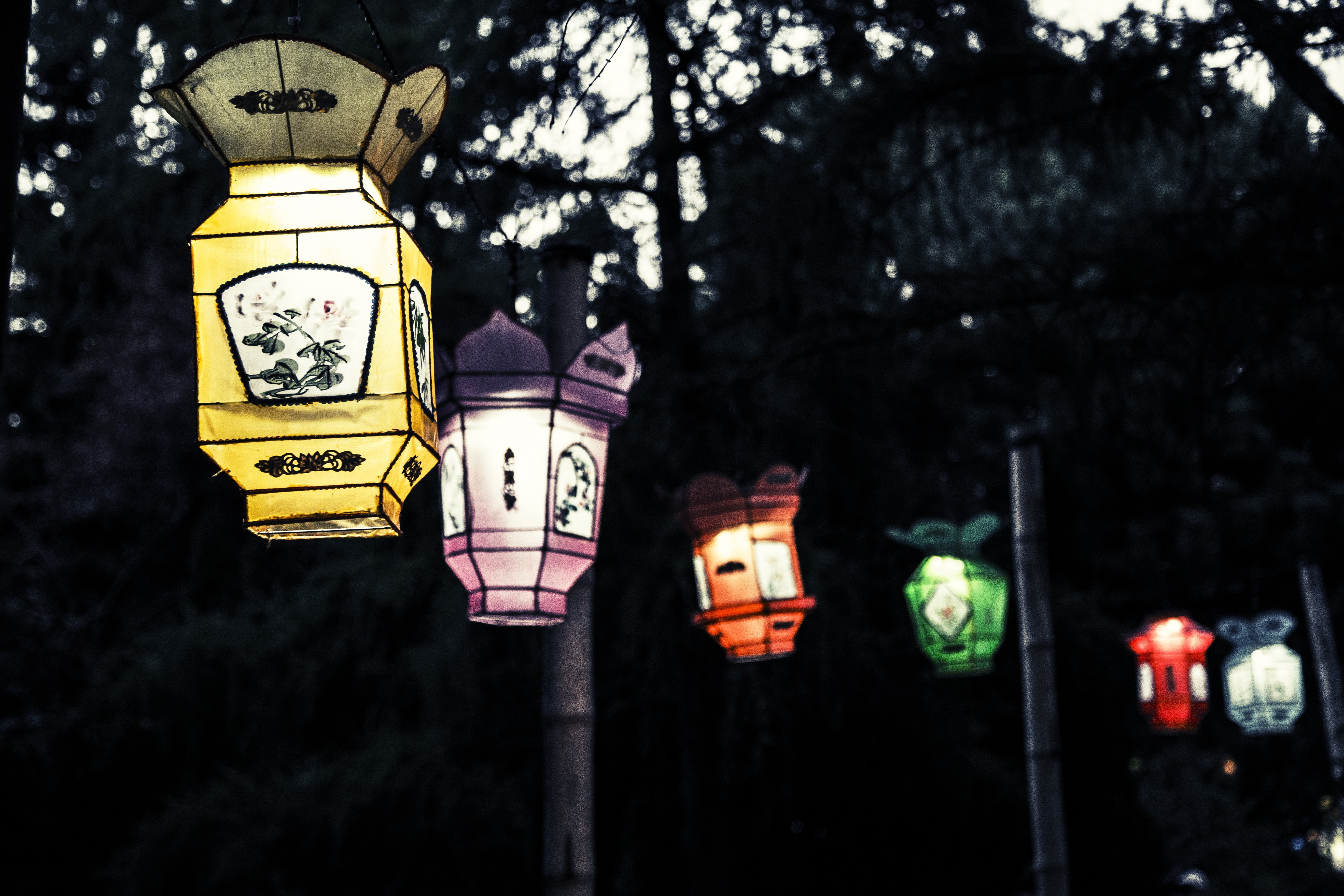 outdoor, lighting Equipment, assorted, architecture, plant, tree, built structure, chinese, night, light, building exterior, decorations, hanging, street, HD Wallpaper