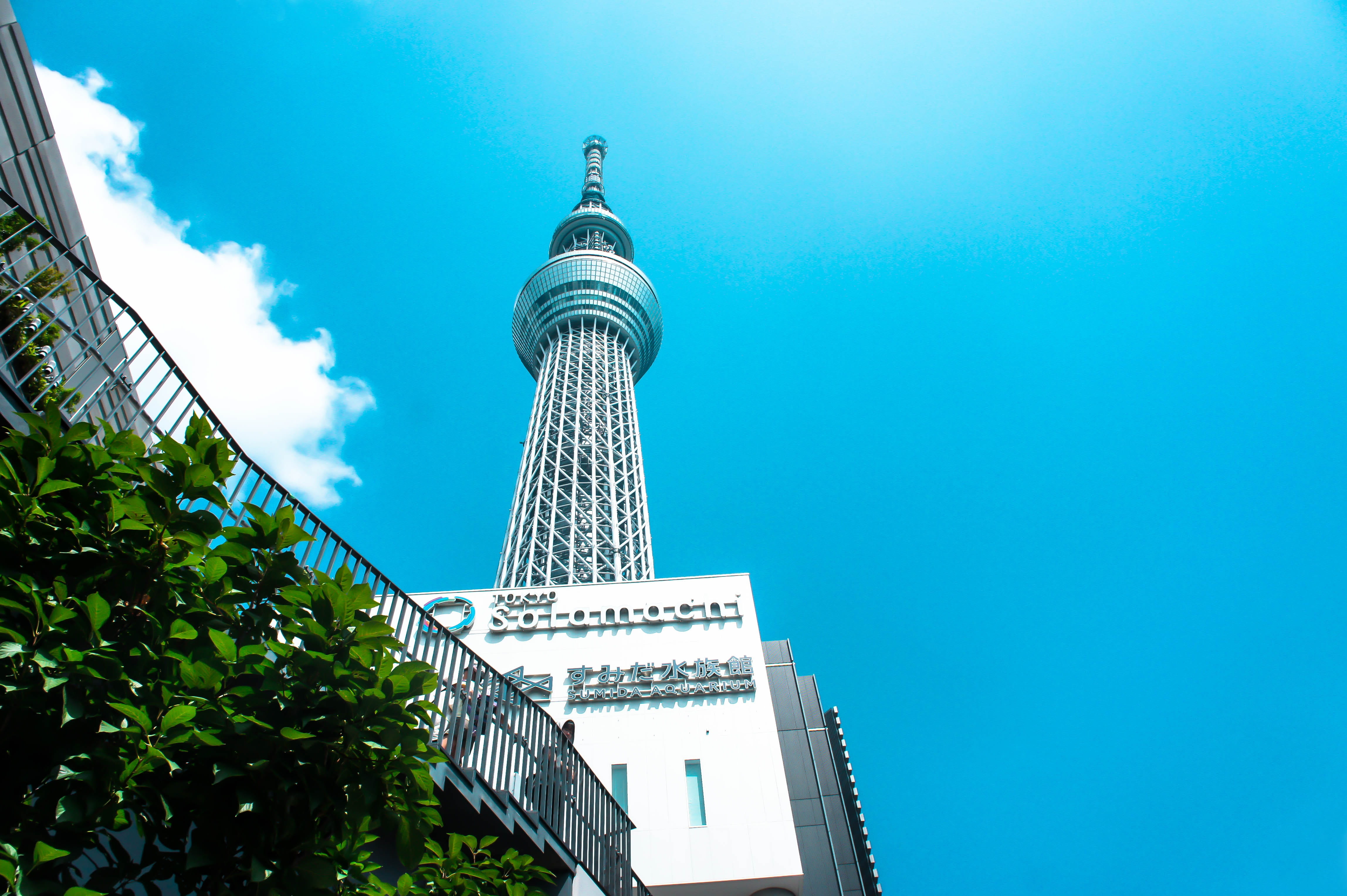 built structure, tall - high, building, travel destinations, plant, day, tourism, tower, tokyo sky tree, sky, spire, blue, skyscraper, no people, architecture, HD Wallpaper