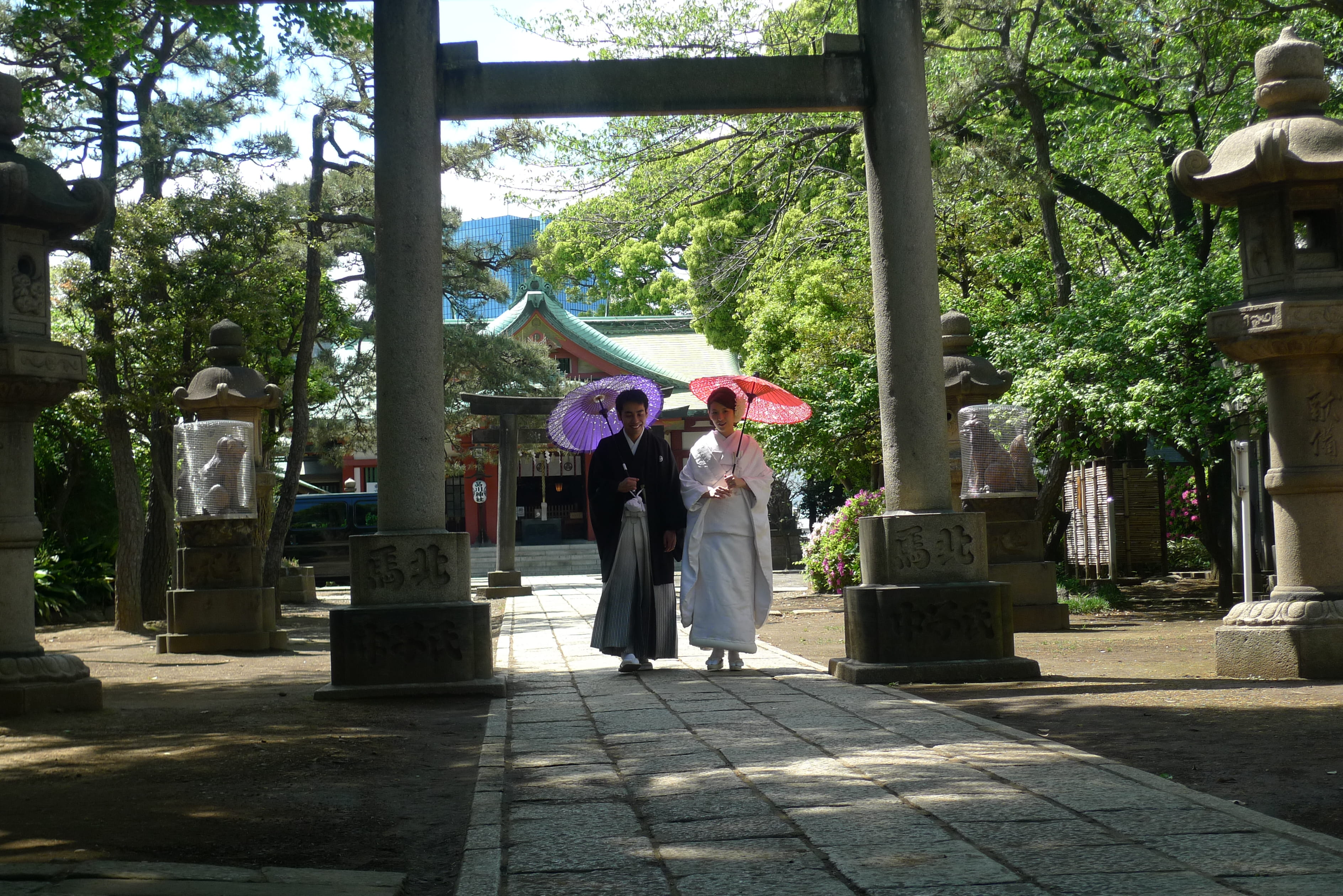 color Image, couple, woman, middle, arch, senior adult, stroll, standing, two people, japan, cultures, real people, plant, gray, nature, day, tree, umbrellas, HD Wallpaper