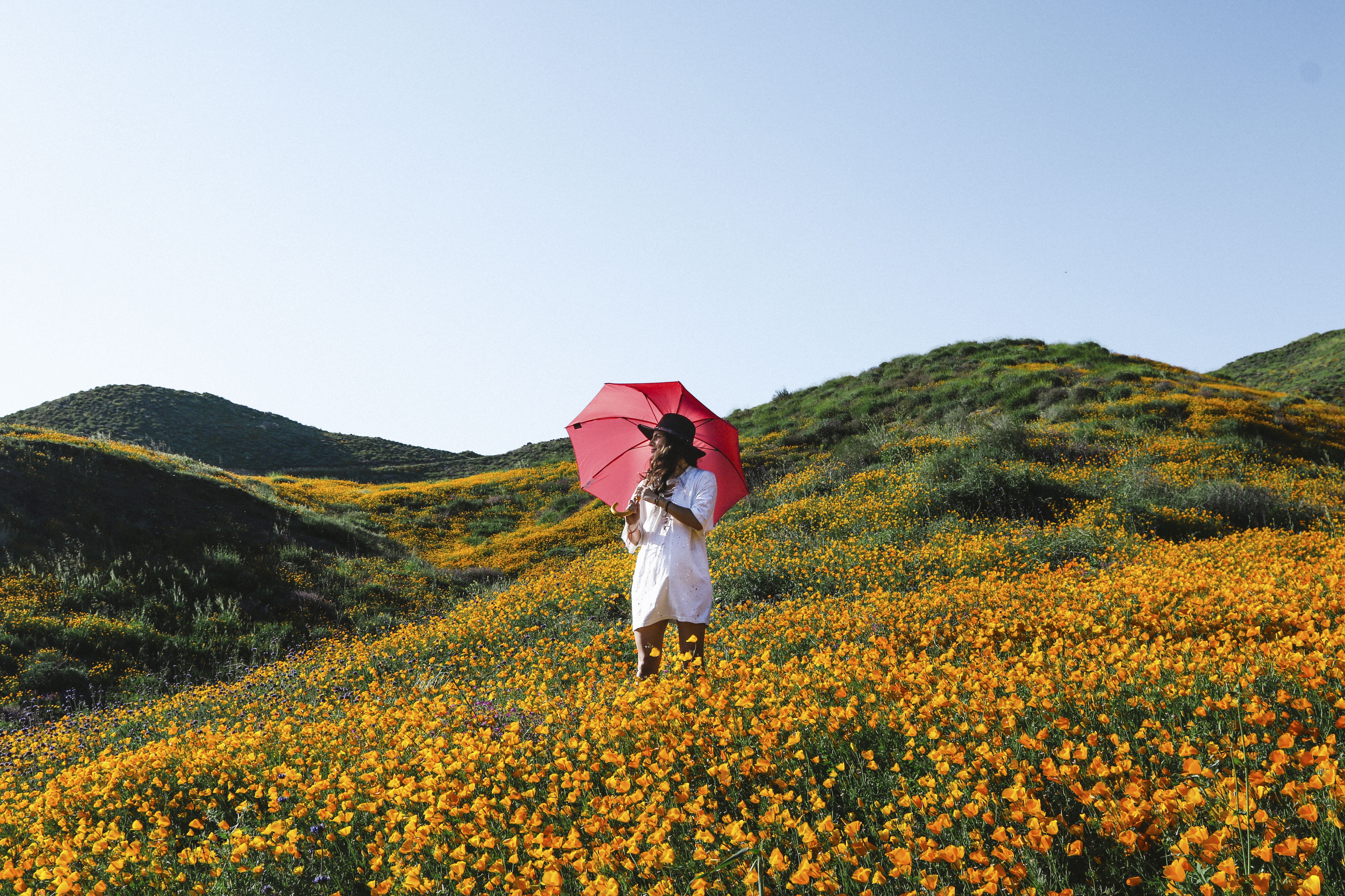 day, outdoors, sky, man, leisure activity, plant, grass, garden, springtime, one person, yellow, bloom, mountain, petal, flowering plant, freedom, green, HD Wallpaper