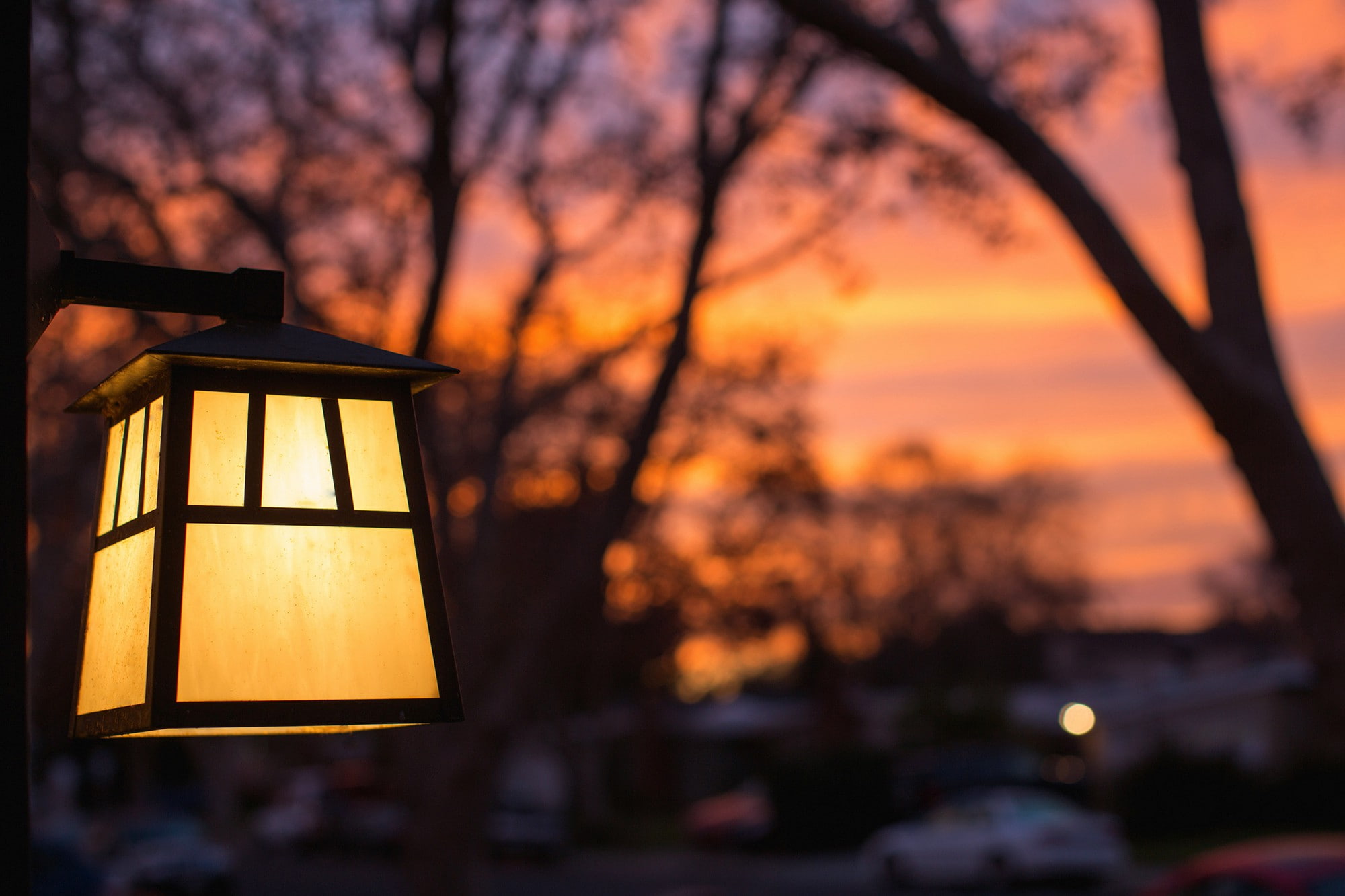yellow, light, Sunset, 1080P, motion blur, Night, trees, Macro, lantern, HD Wallpaper