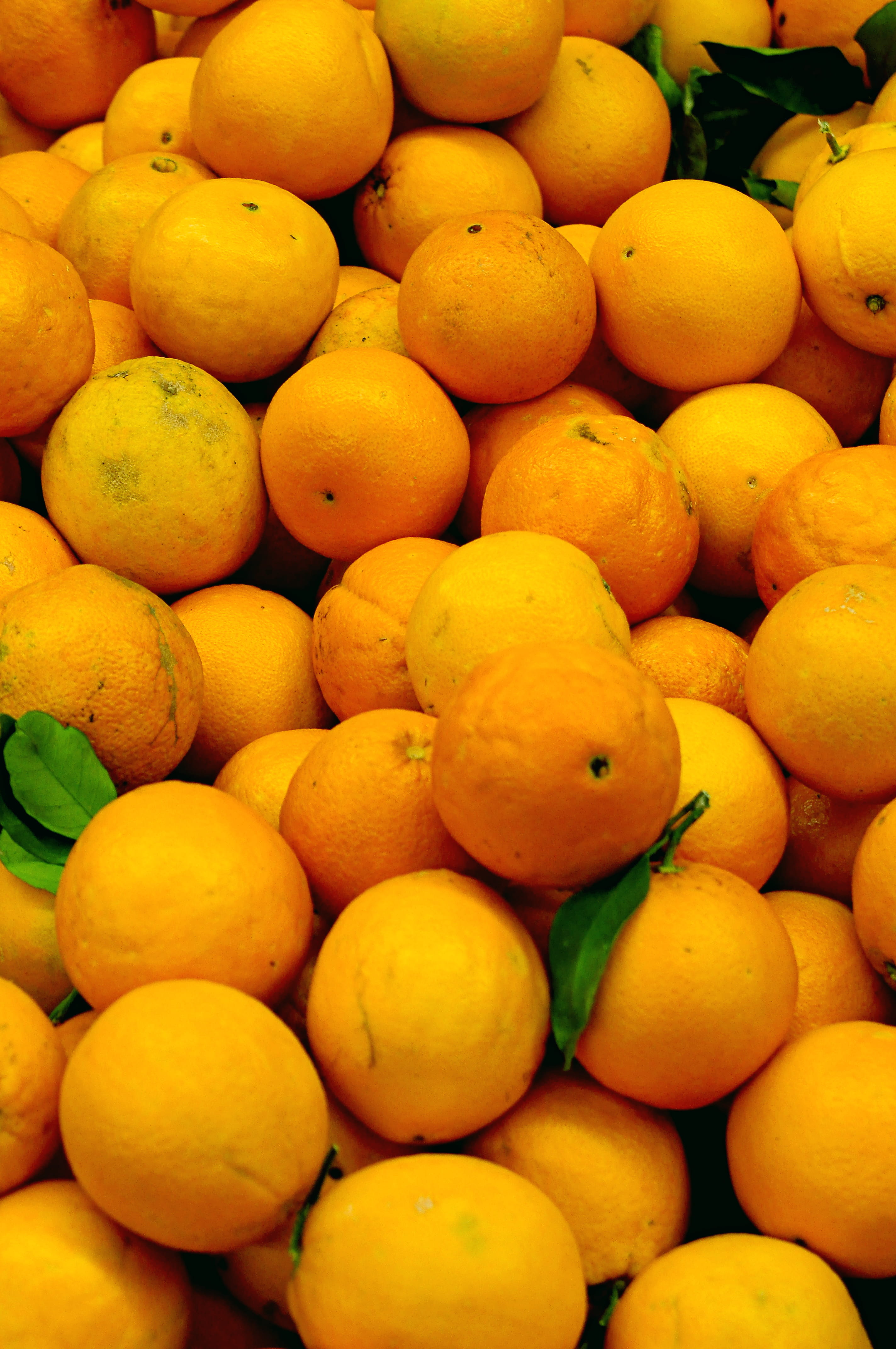 sphere, 4K, citrus fruit, market, orange color, wellbeing, market stall, vitamin c, for sale, full frame, pomelo, apricot, mango, freshness, leaf, large group of objects, Phone HD Wallpaper