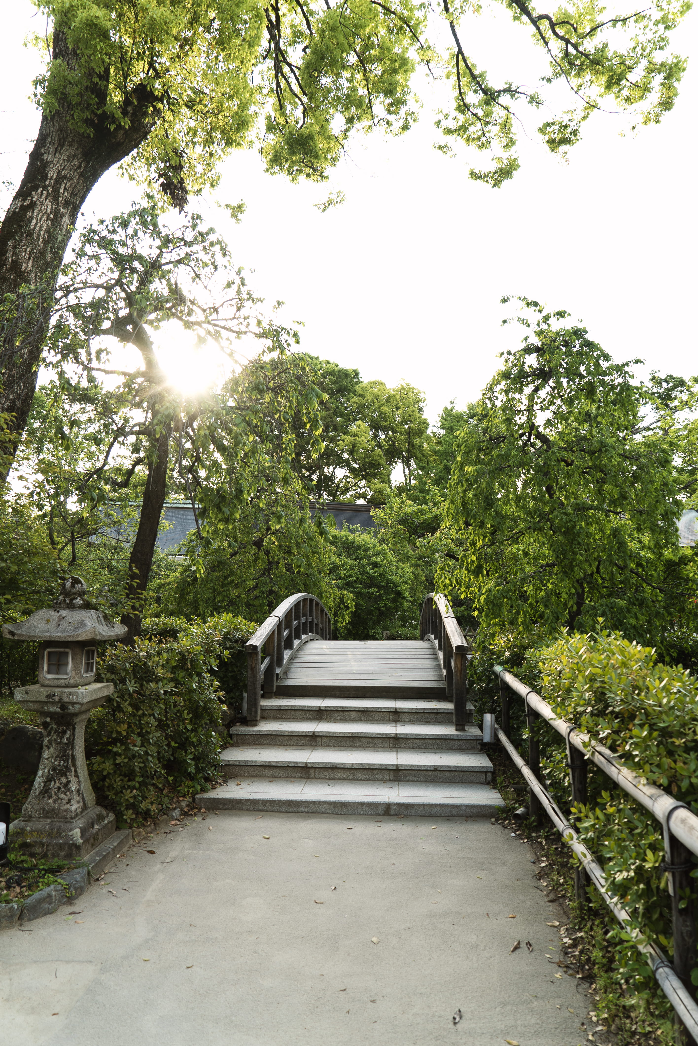 patio, sunlight, tranquility, kyoto, porch, direction, bridge, 4K, built structure, campus, building, plant, pergola, light, garden, arbour, sun, tree, Phone HD Wallpaper