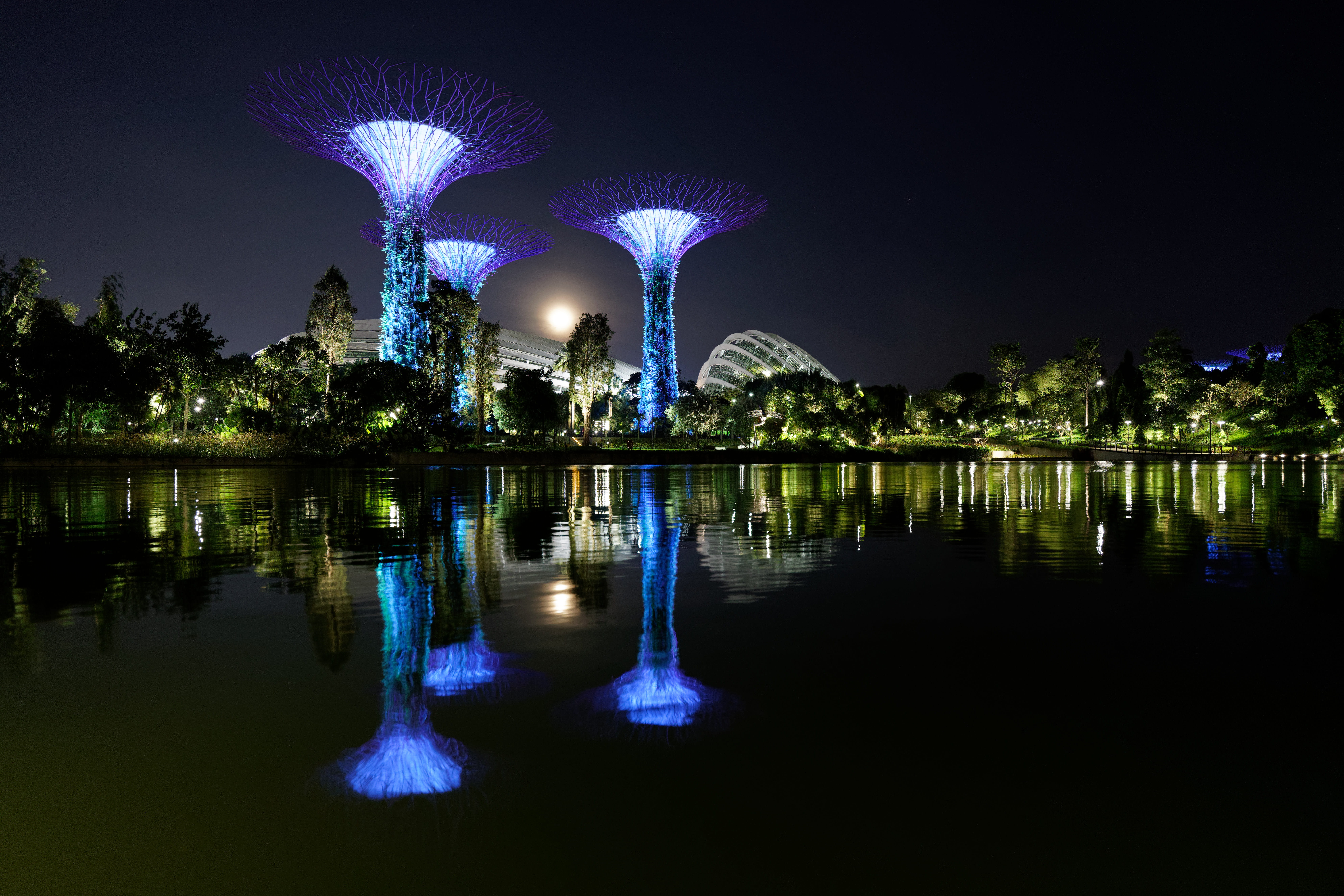 silhouette, singapore, sky, gardens by the bay, 8K, plant, water, outdoors, planetarium, nature, waterfront, scenery, tree, architecture, blue, crystal, HD Wallpaper