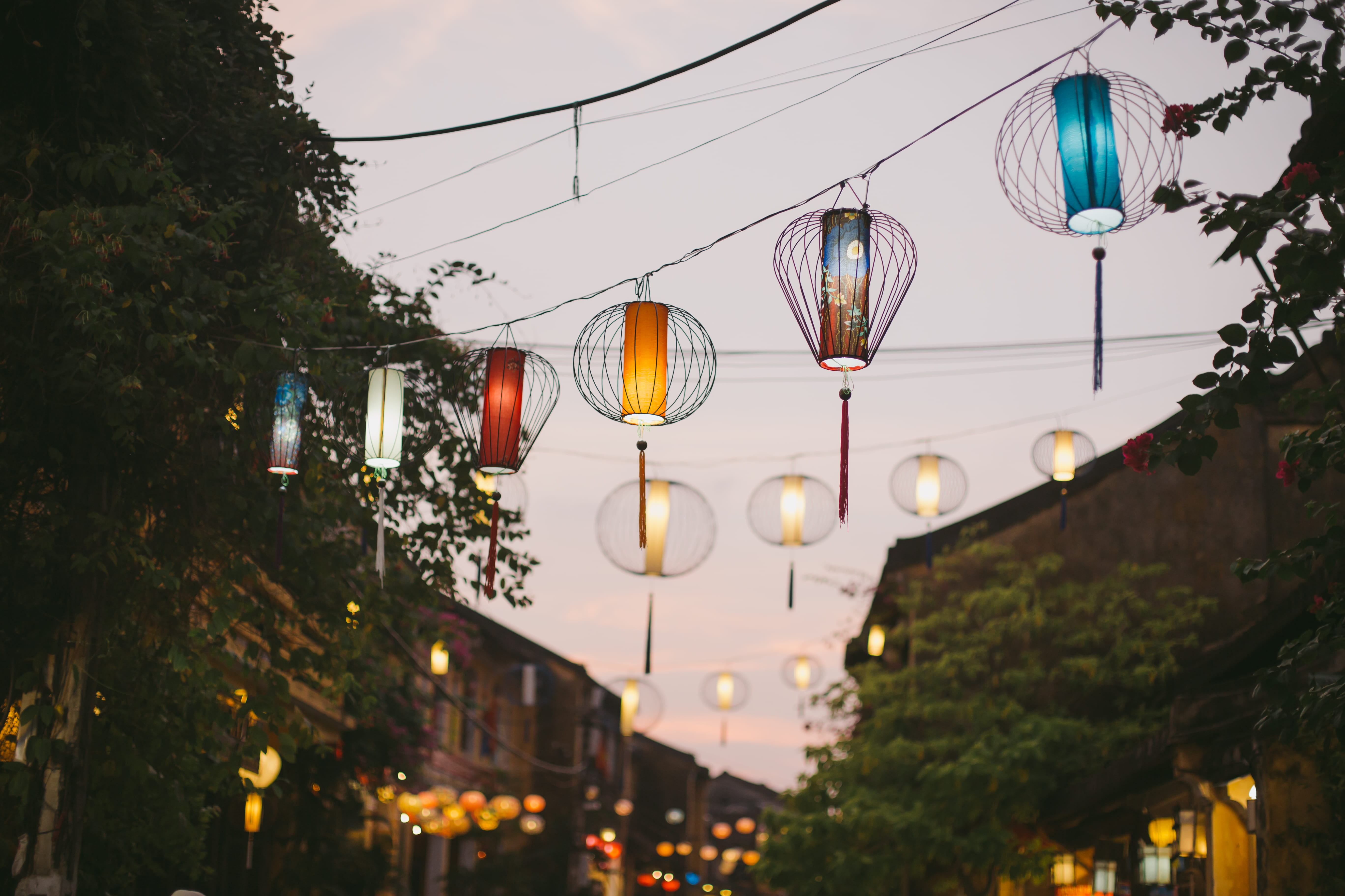 light, dawn, low angle view, trees, in a row, plant, lanterns, chinese lantern, town, photo, electric lamp, cable, street, festival, buildings, architecture, HD Wallpaper