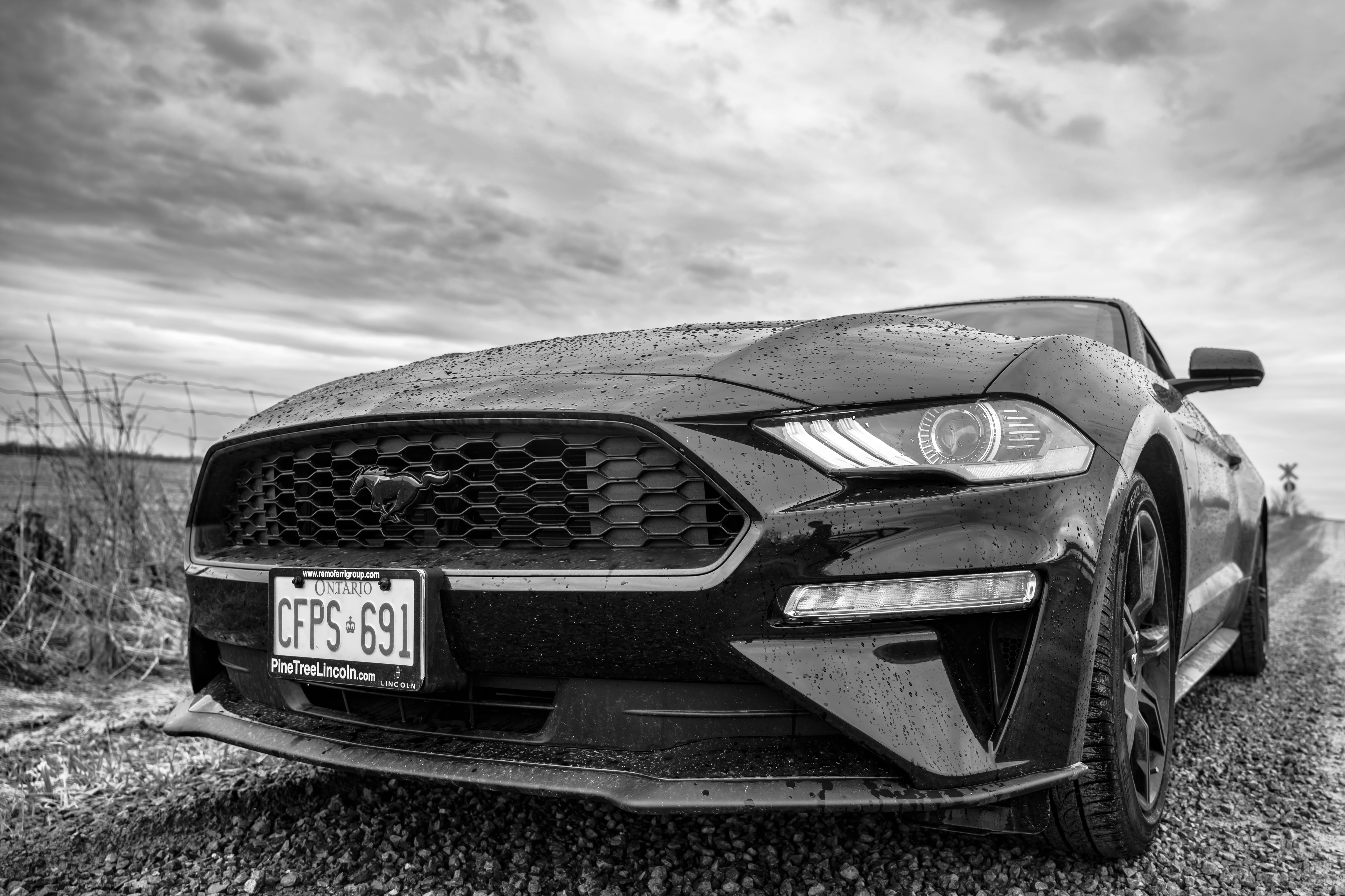 stationary, land, mustang, nature, light, metal, photo, tire, coupe, land vehicle, car, alloy wheel, sky, hot rod, retro styled, motor, automobile, no people, HD Wallpaper