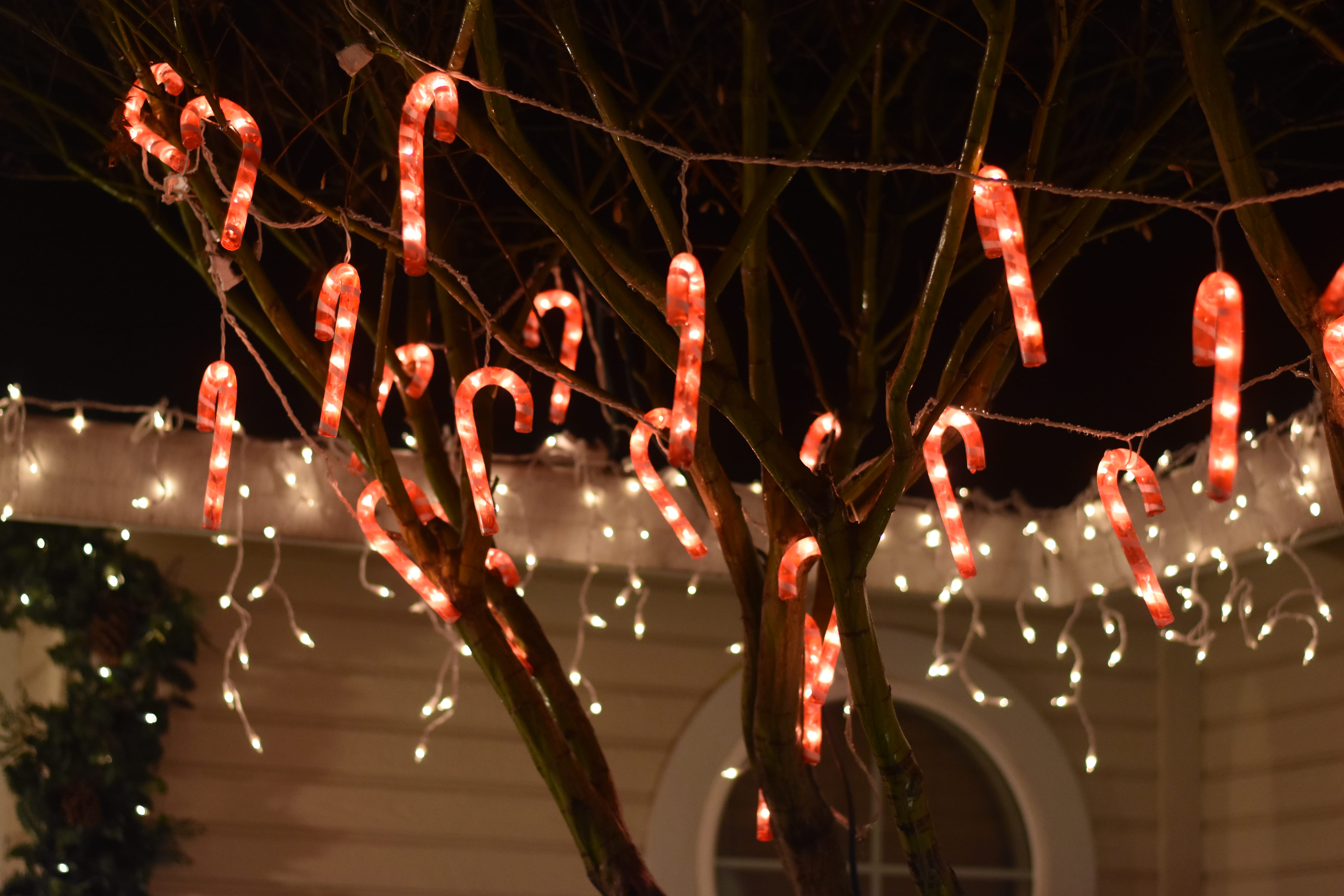 electricity, chico, no people, chinese new year, plant, string, 5K, lantern, lights, lamp, chinese lantern, united states, snow, white, outdoors, chinese lantern festival, HD Wallpaper