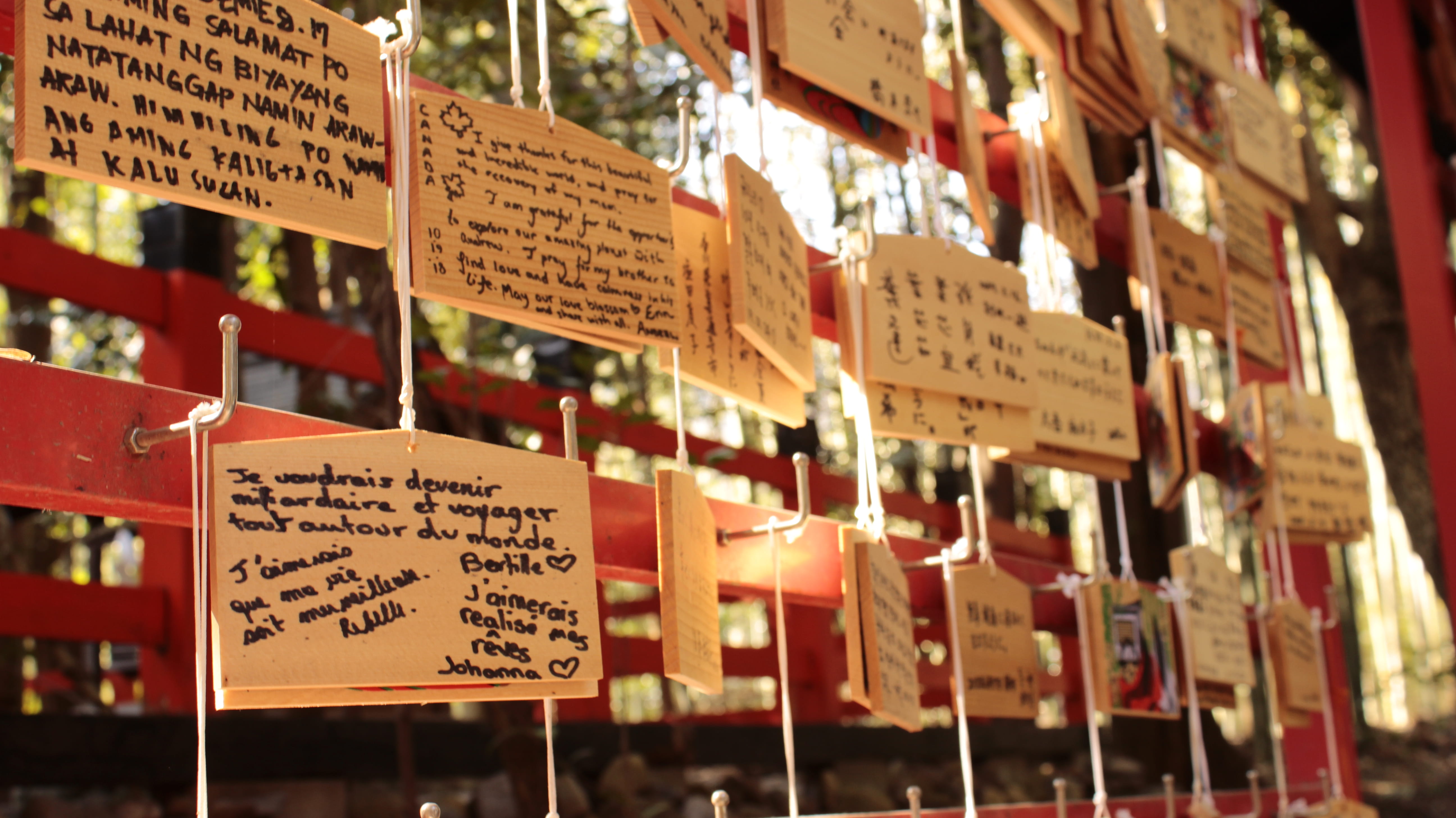 retail display, western script, focus on foreground, culinary, information, day, plant, script, banner, 5K, food, crowd, calligraphy, sticker, persimmon, HD Wallpaper