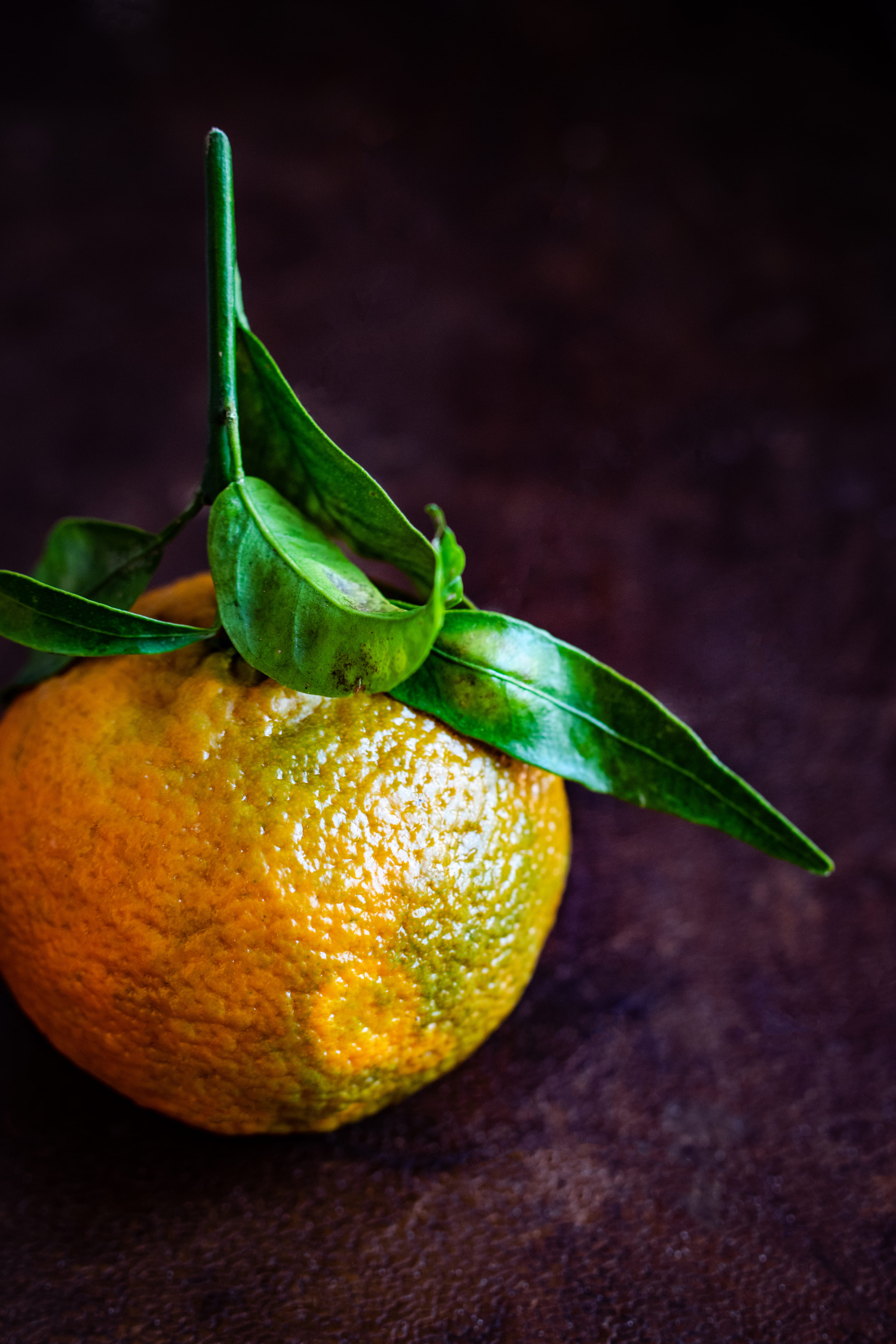 orange color, natural light, food, indoors, food photography, black background, healthy eating, antioxidant, yummy, clementine, freshness, produce, studio shot, Phone HD Wallpaper