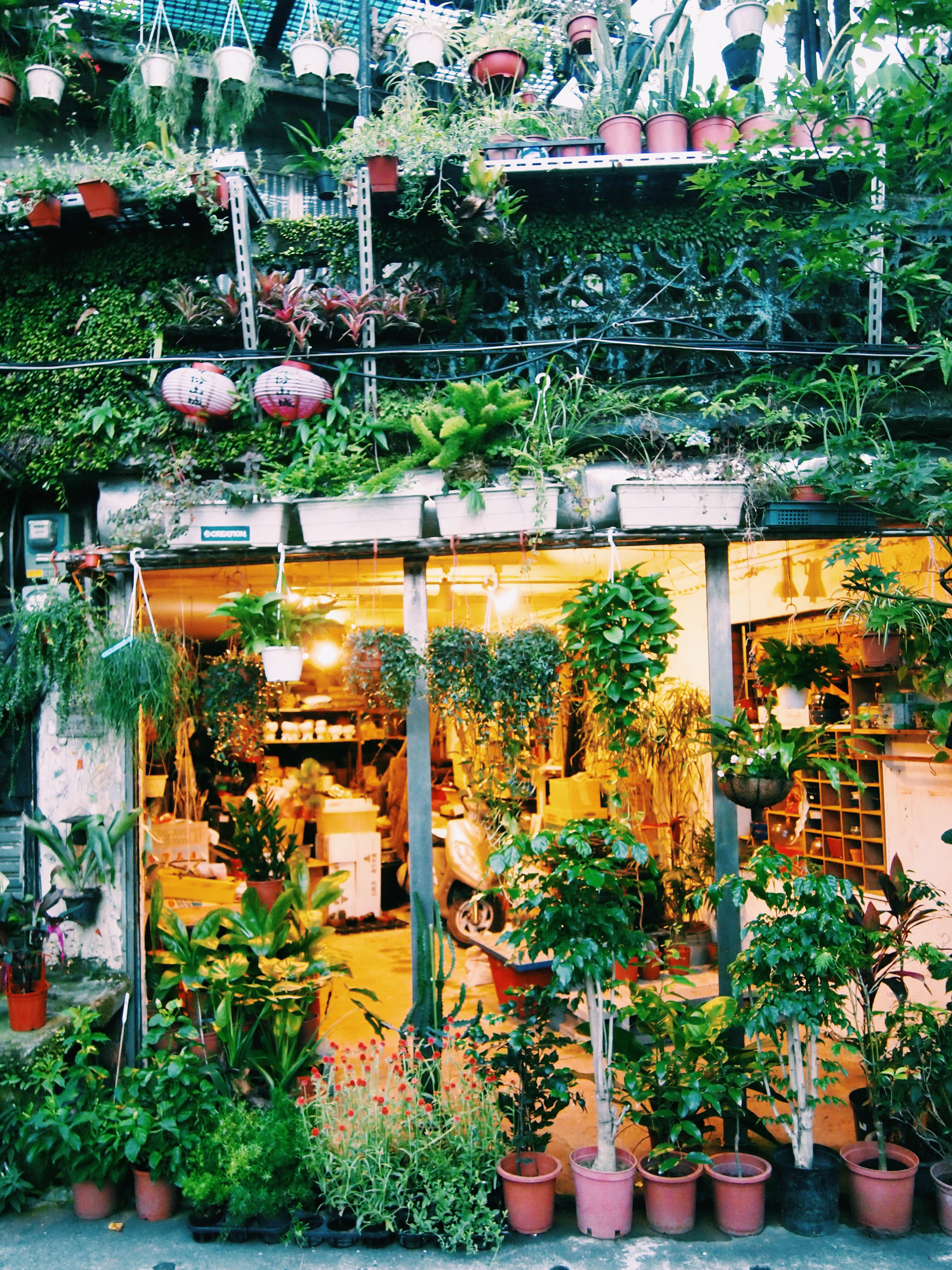 store, 4K, plant nursery, flowering plant, outdoors, building exterior, jiufen, plants, business, nature, flower, freshness, no people, retail, gardening, Phone HD Wallpaper