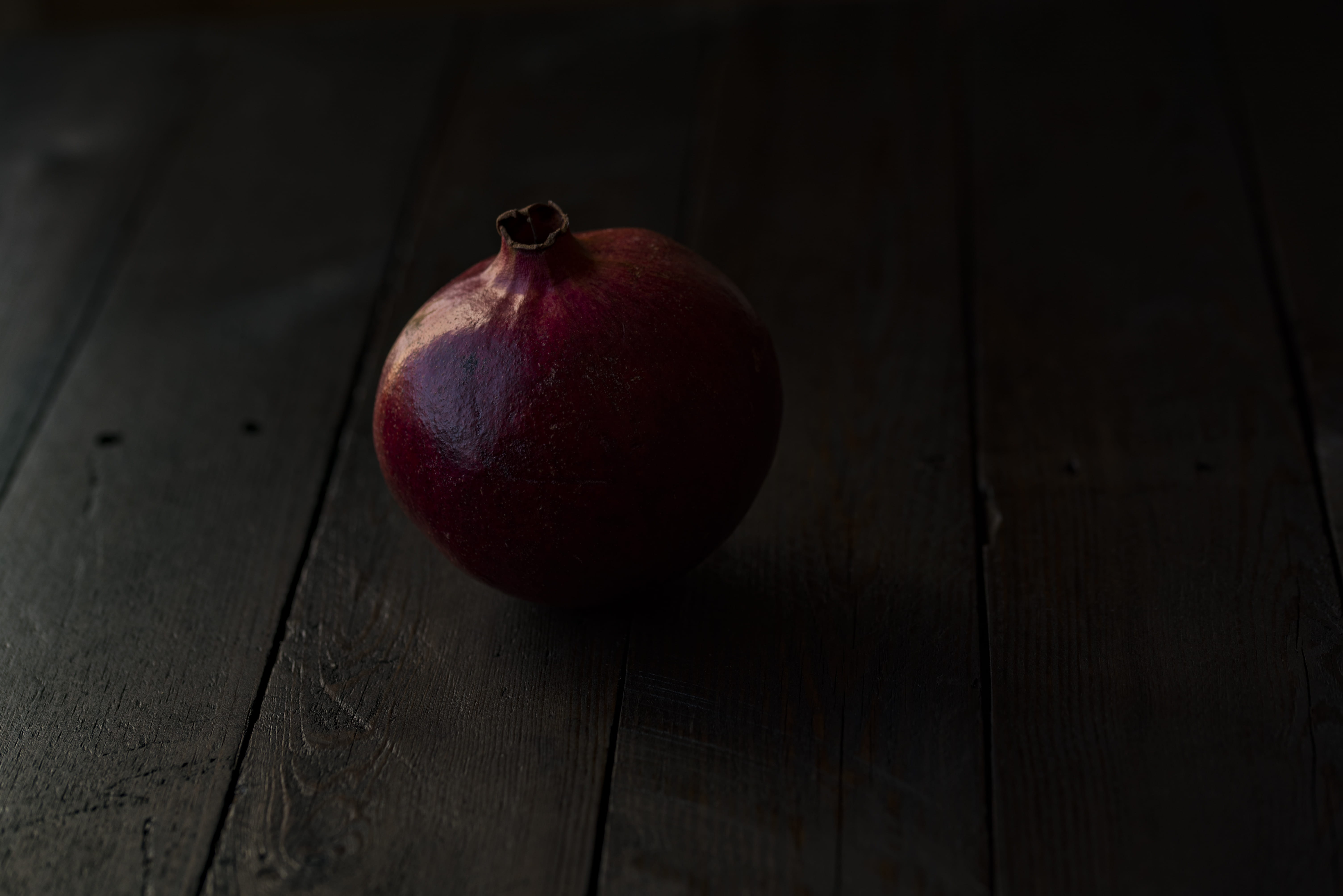 sprout, freshness, produce, wellbeing, paint container, no people, surface, high angle view, single object, plant, healthy eating, summer, pomegranate, HD Wallpaper