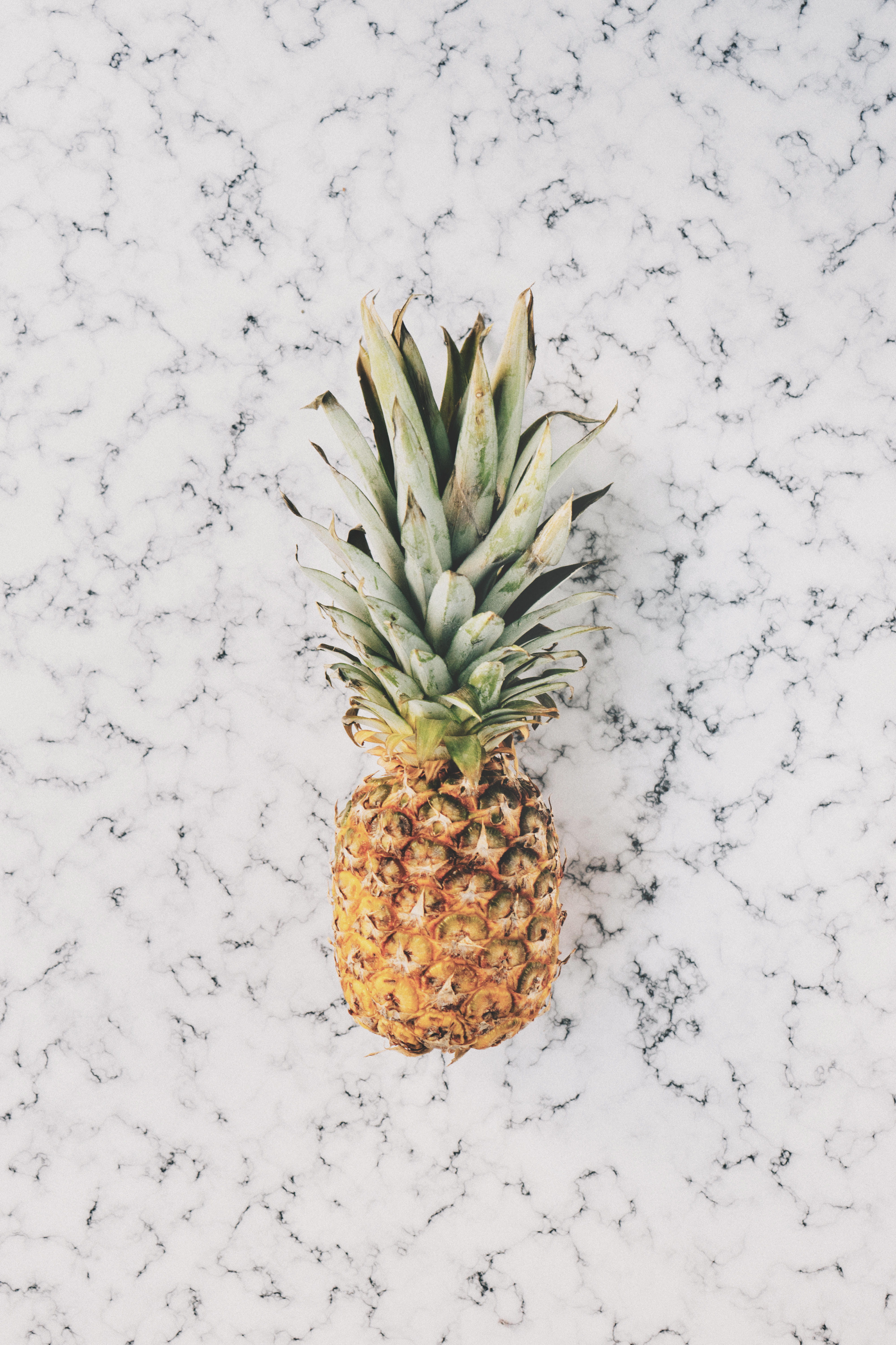  flatlay, white, golden, white color, tropical fruit, animal, fruit, no people, cold temperature, countertop, jam, insect, beauty in nature, still life, Phone HD Wallpaper