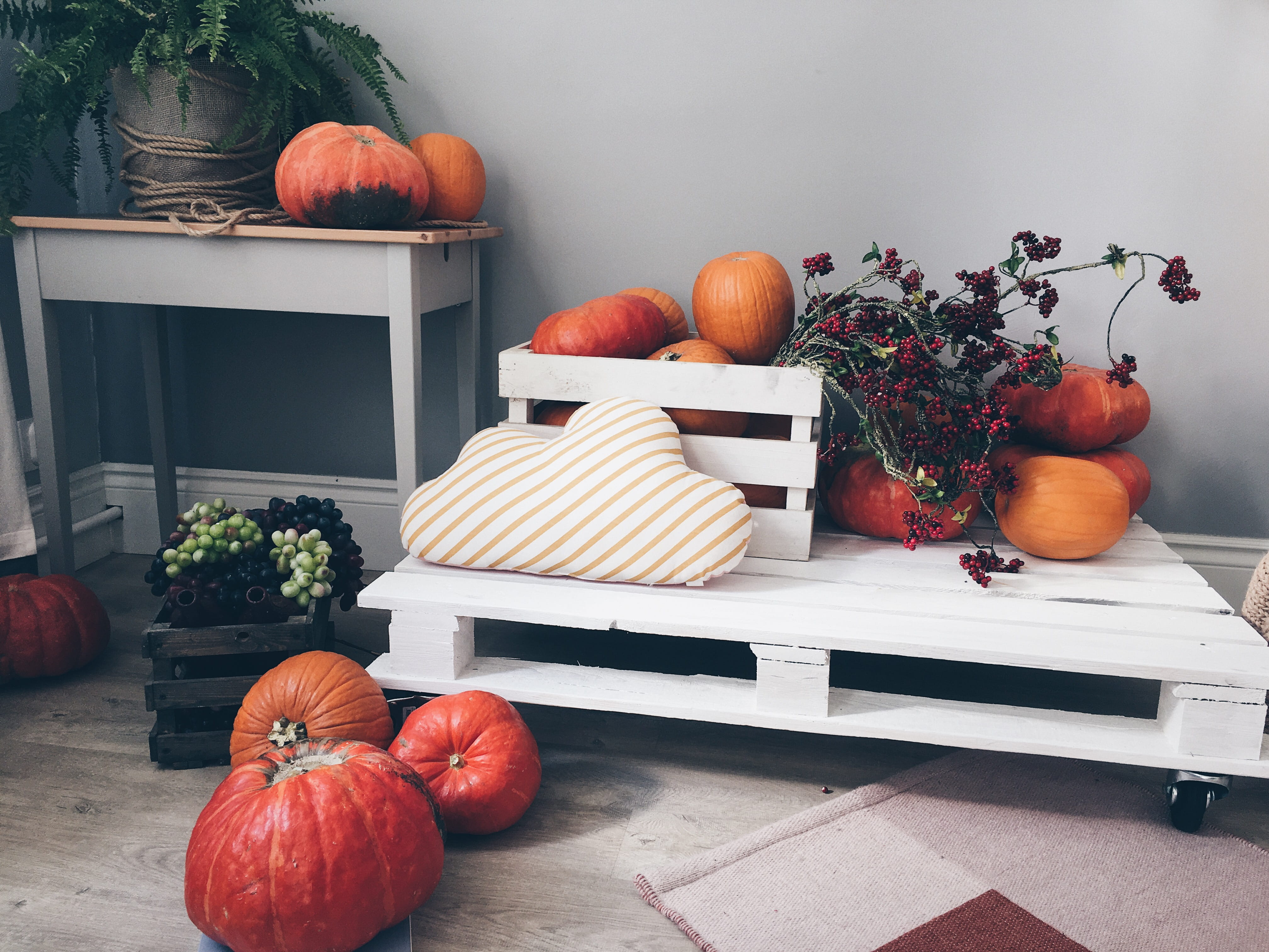 orange, board, crate, color, pallet, plant, no people, orange color, wooden, 4K, apple - fruit, white, wood - material, tomato, pasture, vase, season, HD Wallpaper